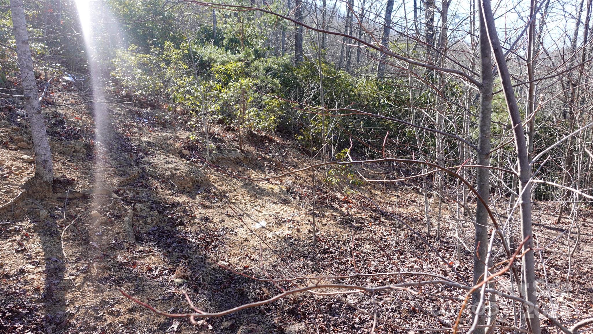 62 Stone Brook Trail 10 Property Photo 5
