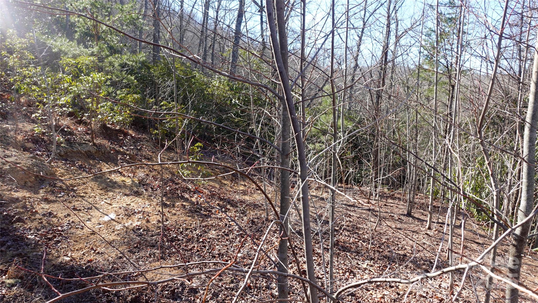 62 Stone Brook Trail 10 Property Photo 6