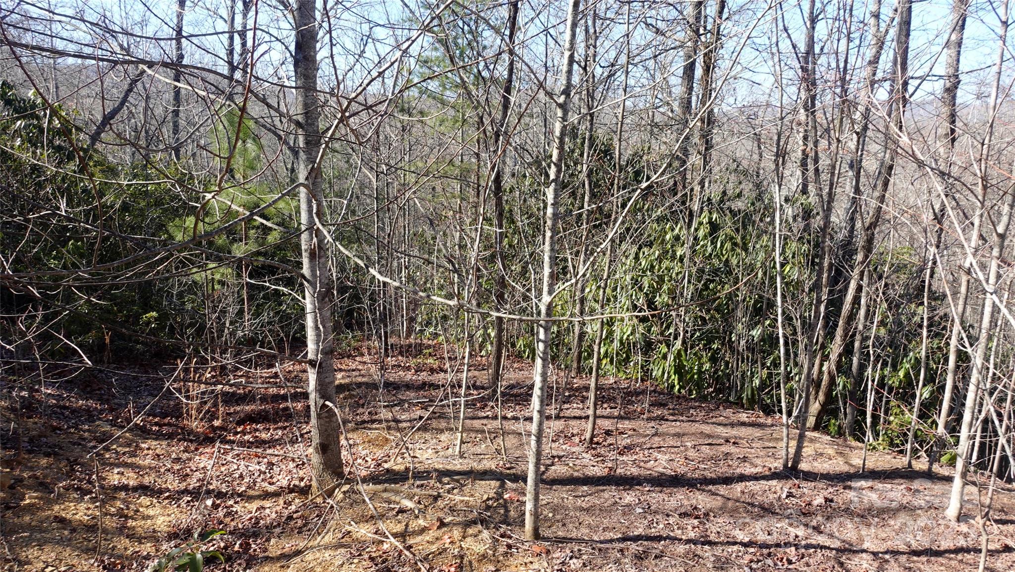 62 Stone Brook Trail 10 Property Photo 8