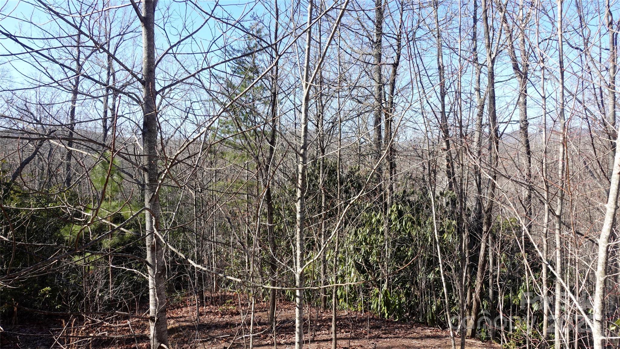 62 Stone Brook Trail 10 Property Photo 9