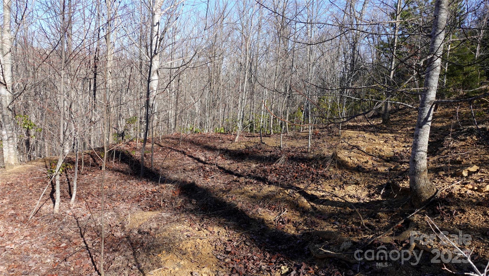 62 Stone Brook Trail 10 Property Photo 10