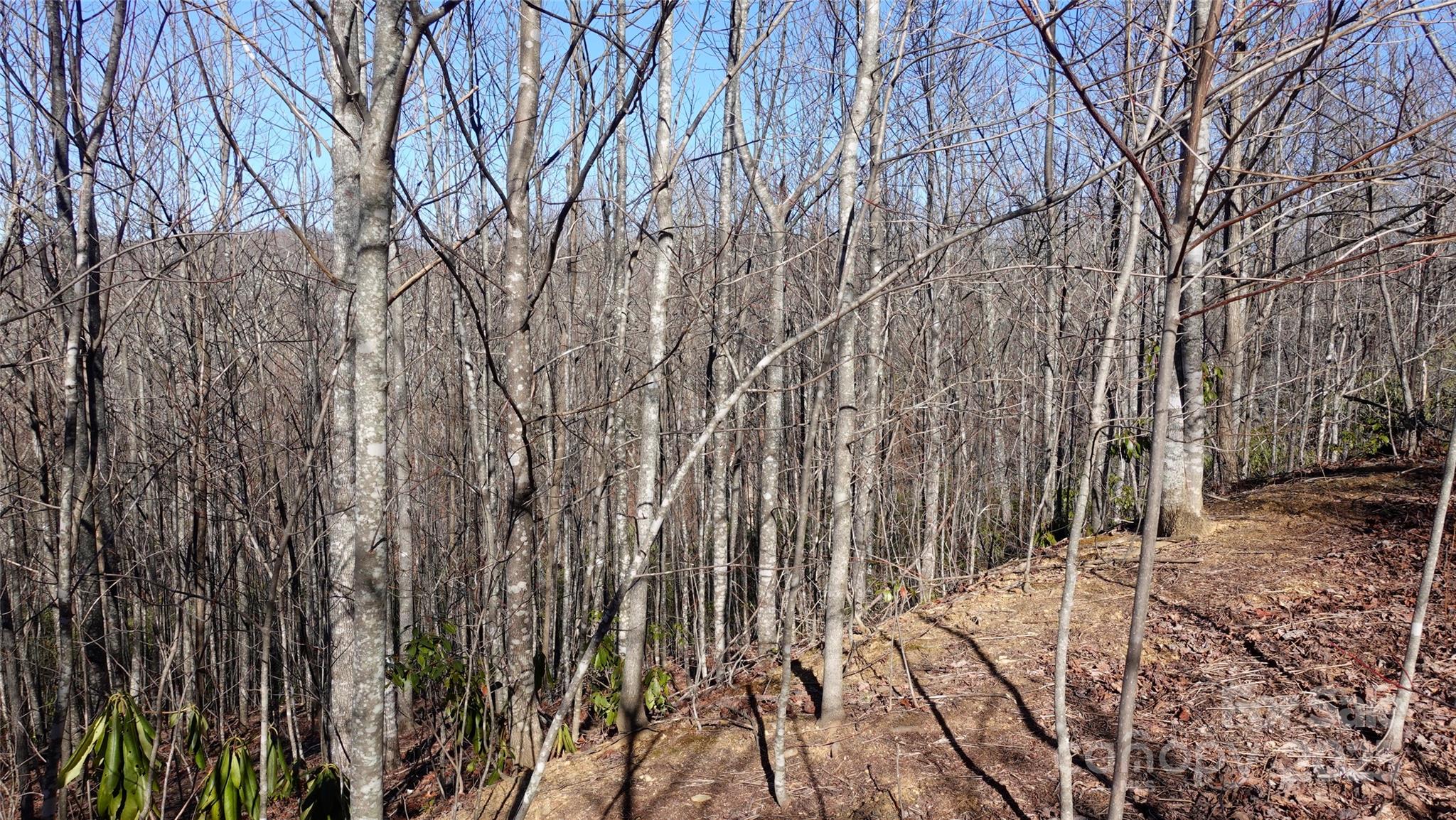 62 Stone Brook Trail 10 Property Photo 12