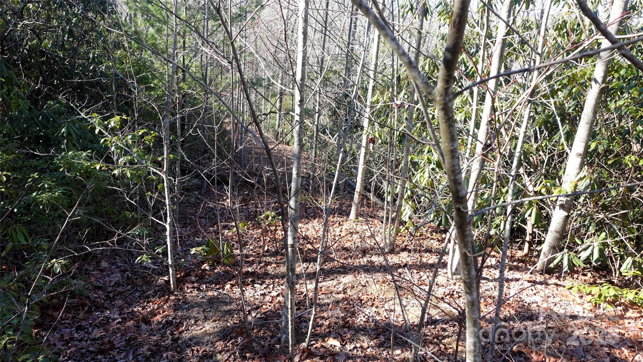62 Stone Brook Trail 10 Property Photo 13