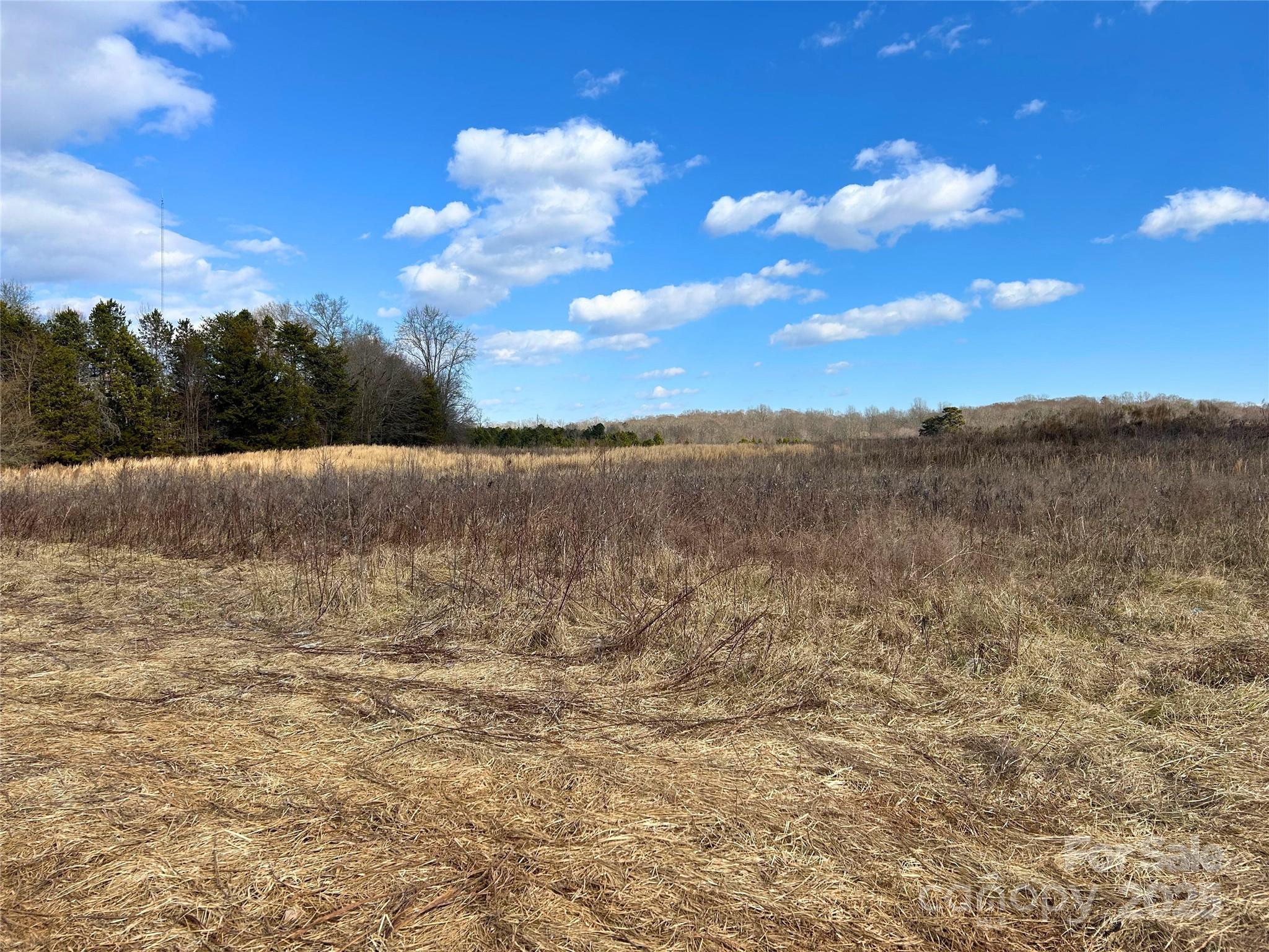 00 Roper Drive Property Photo 10