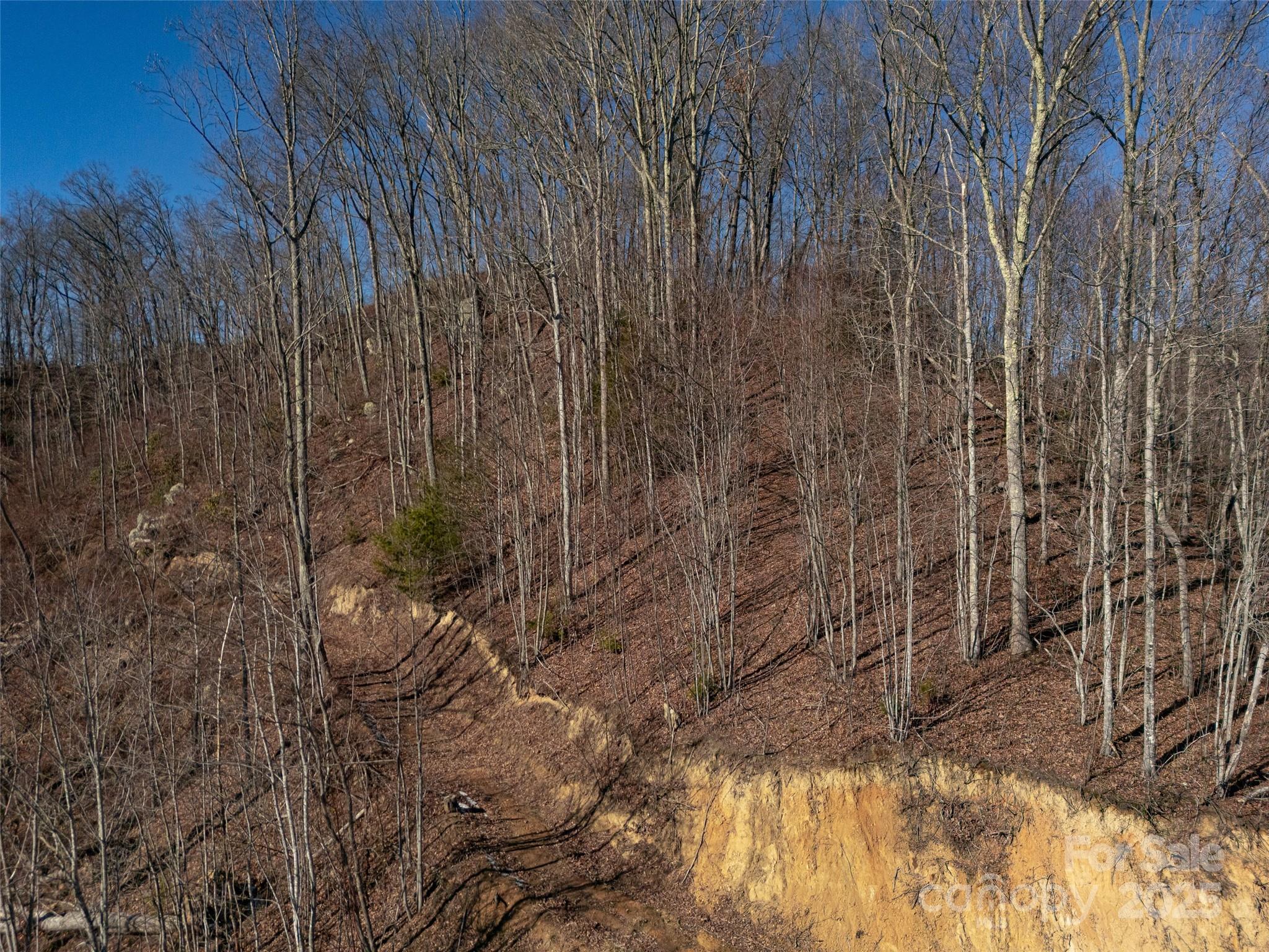 00000 Salt Rock Road Property Photo 14