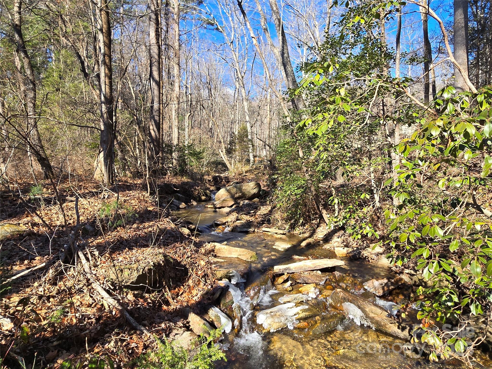 Lot 60 Chinquapin Road Property Photo 1