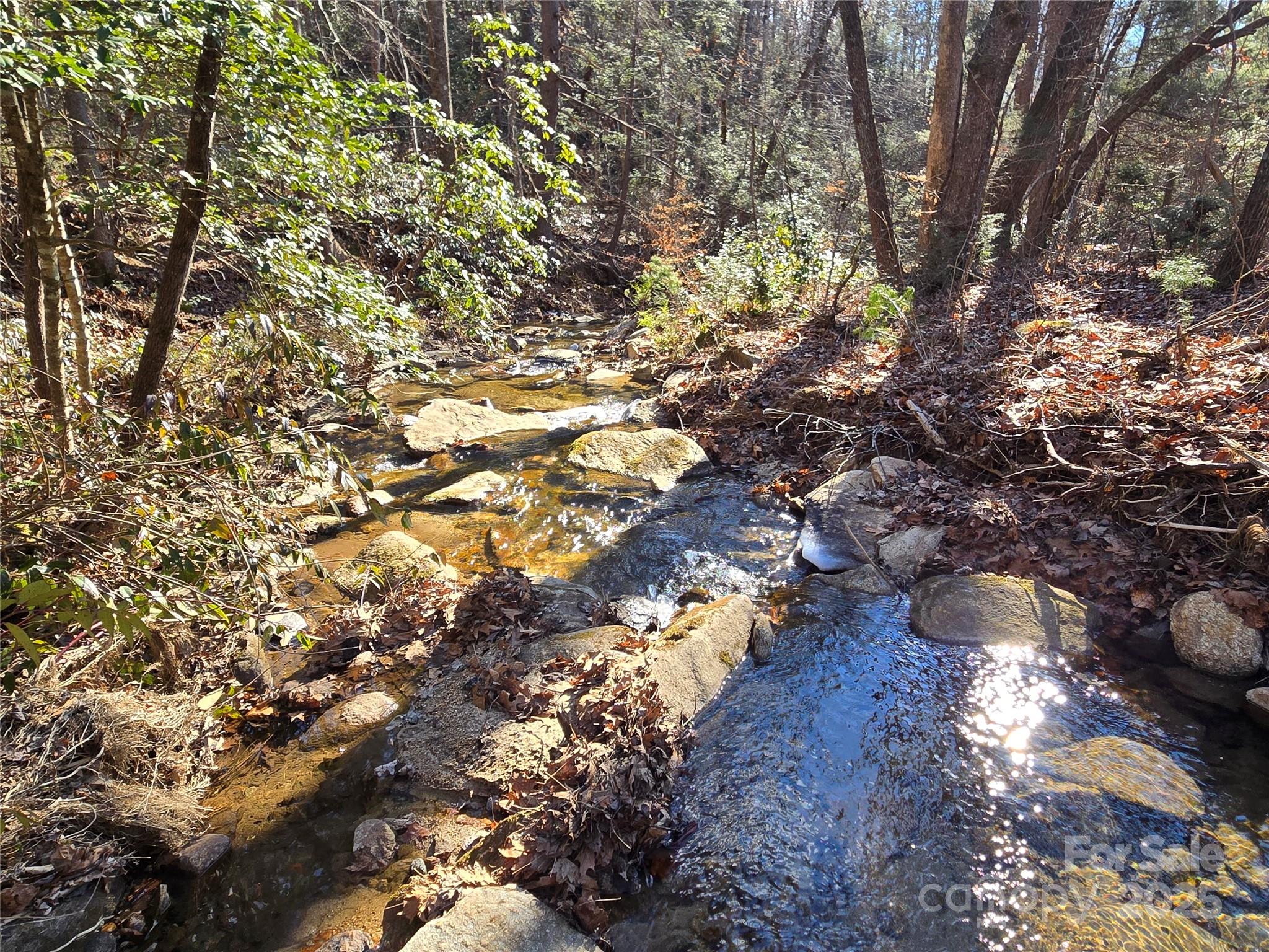 Lot 60 Chinquapin Road Property Photo 2