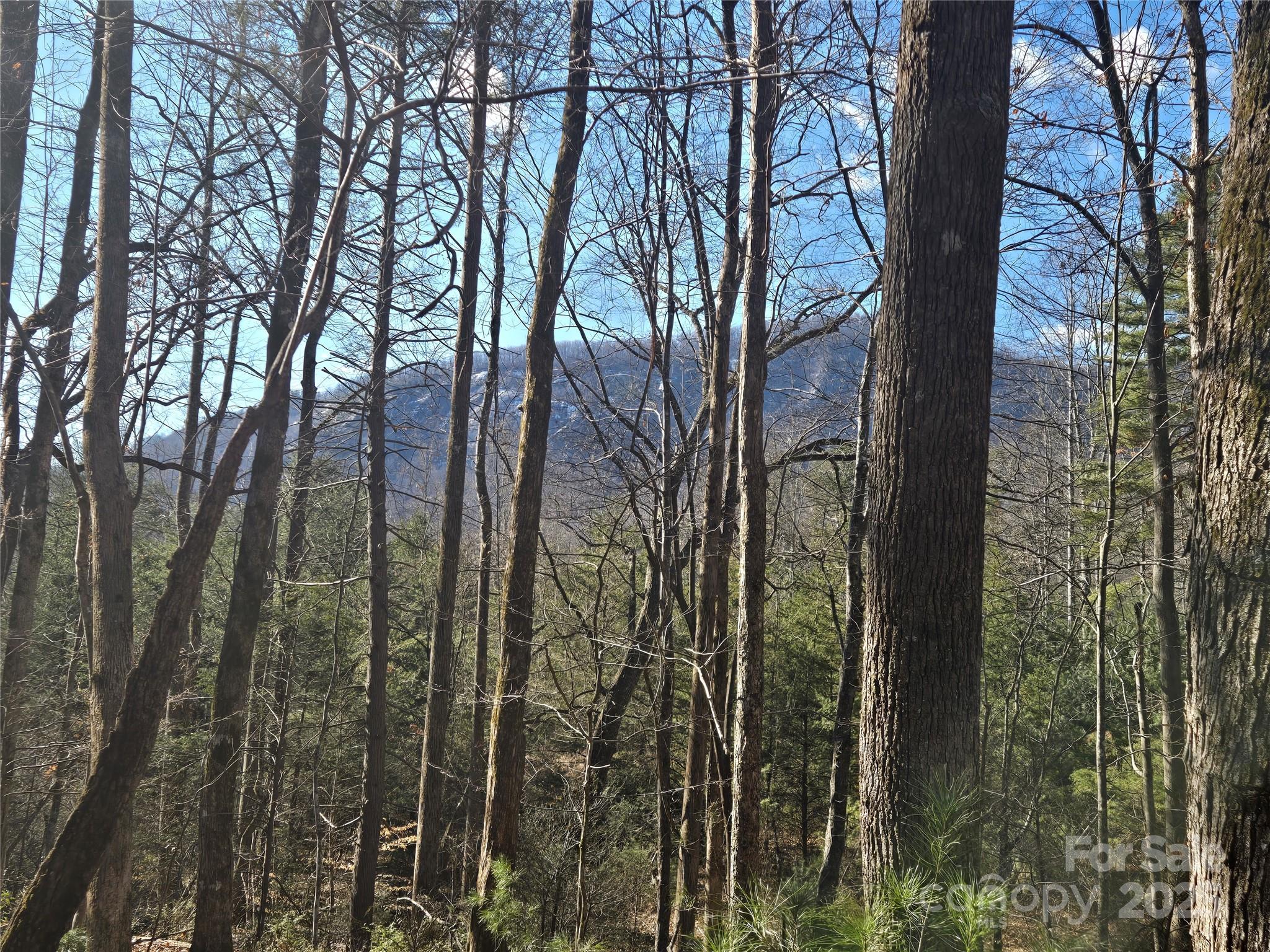Lot 60 Chinquapin Road Property Photo 3