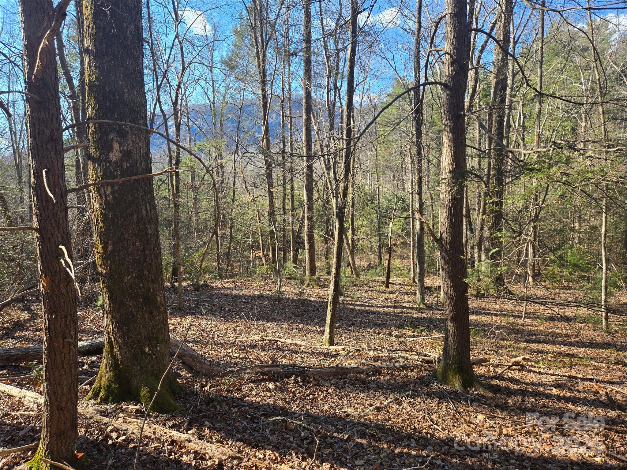 Lot 60 Chinquapin Road Property Photo 4
