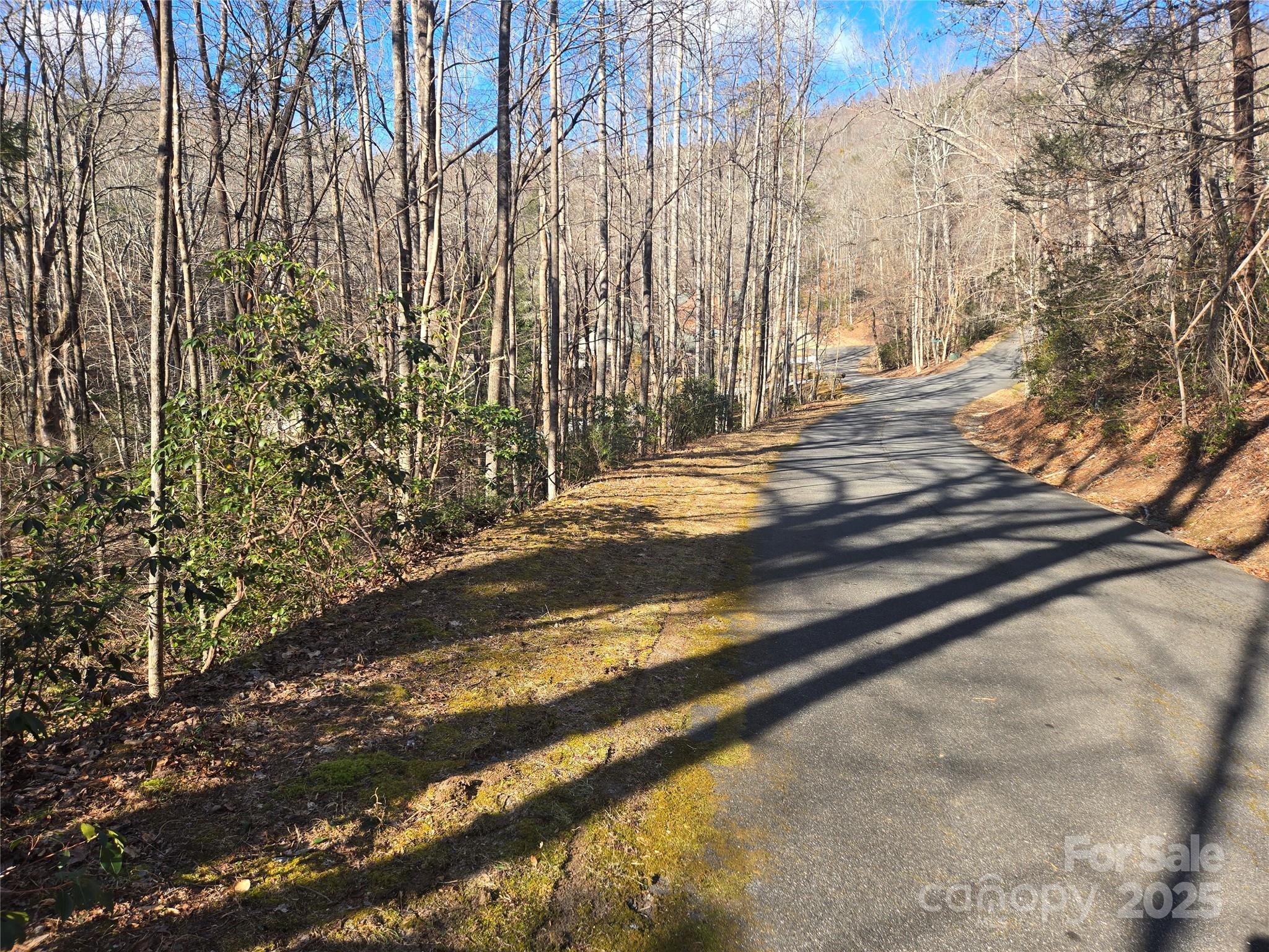 Lot 60 Chinquapin Road Property Photo 5