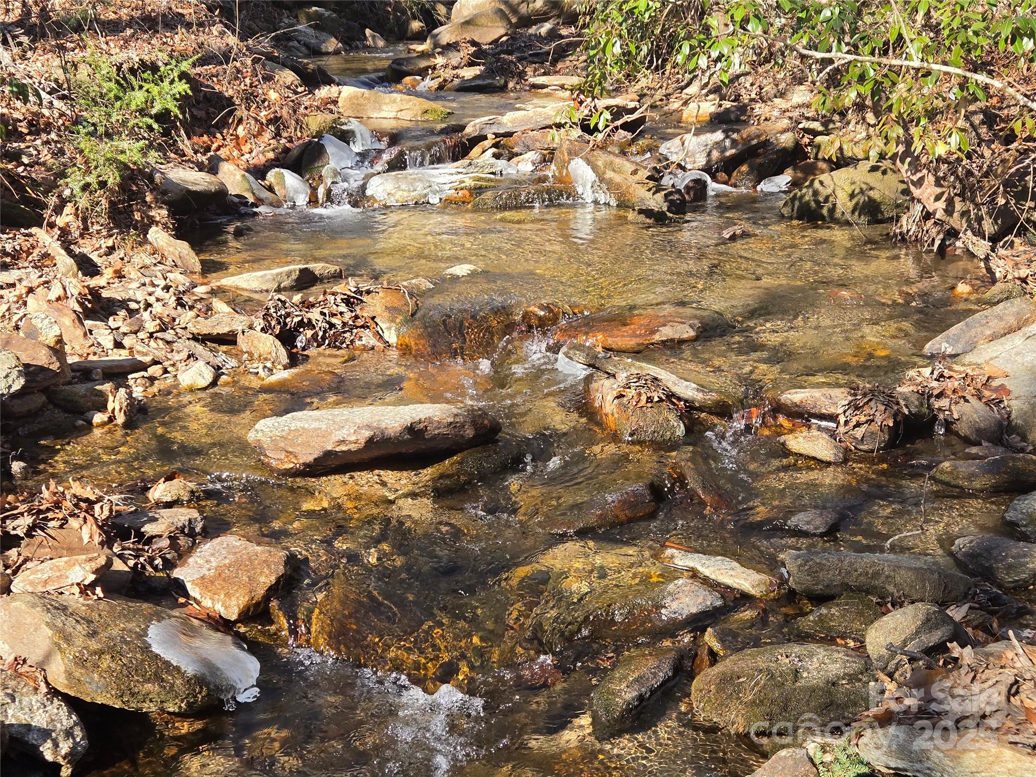 Lot 60 Chinquapin Road Property Photo 6