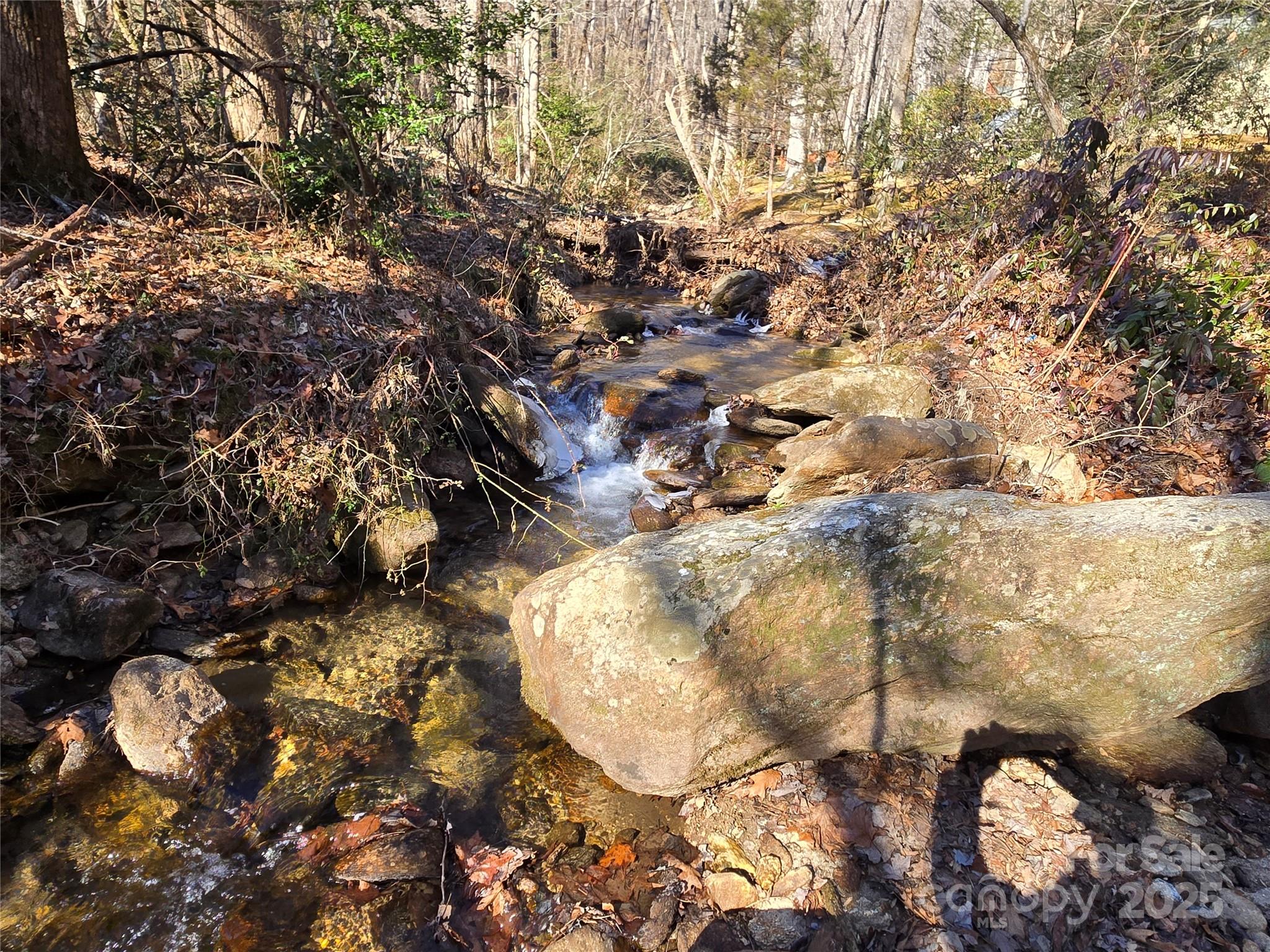 Lot 60 Chinquapin Road Property Photo 7