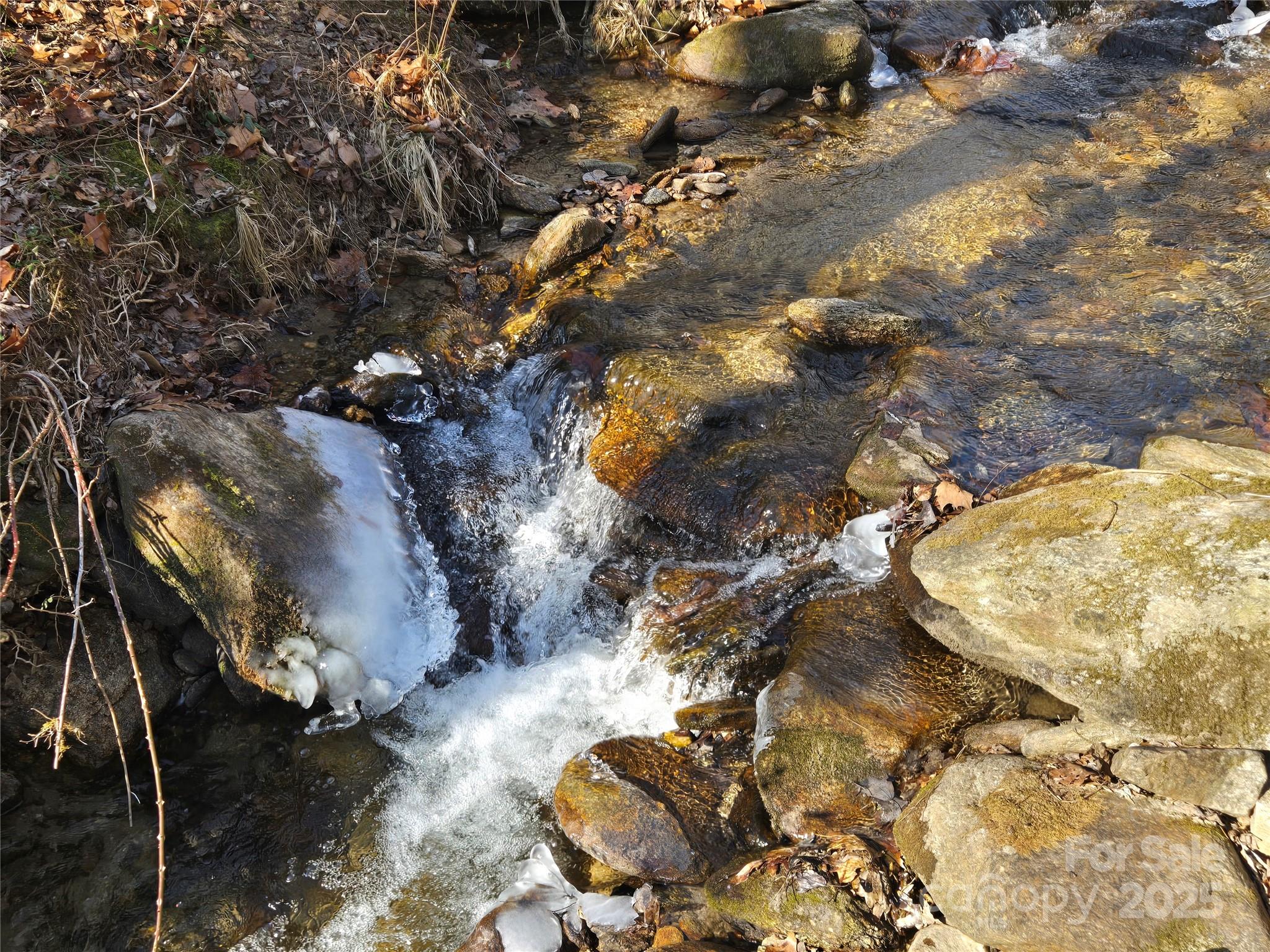 Lot 60 Chinquapin Road Property Photo 8
