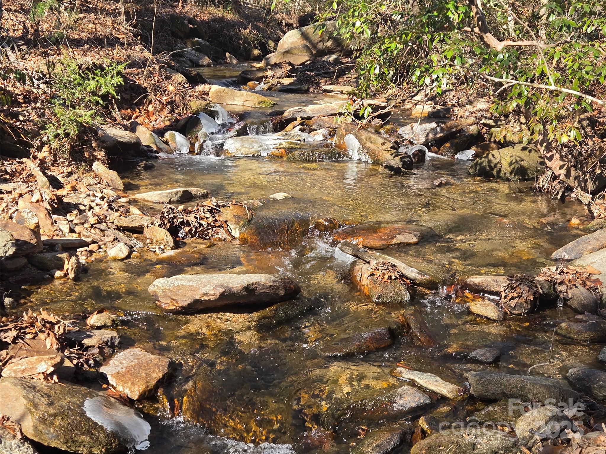 Lot 60 Chinquapin Road Property Photo 11