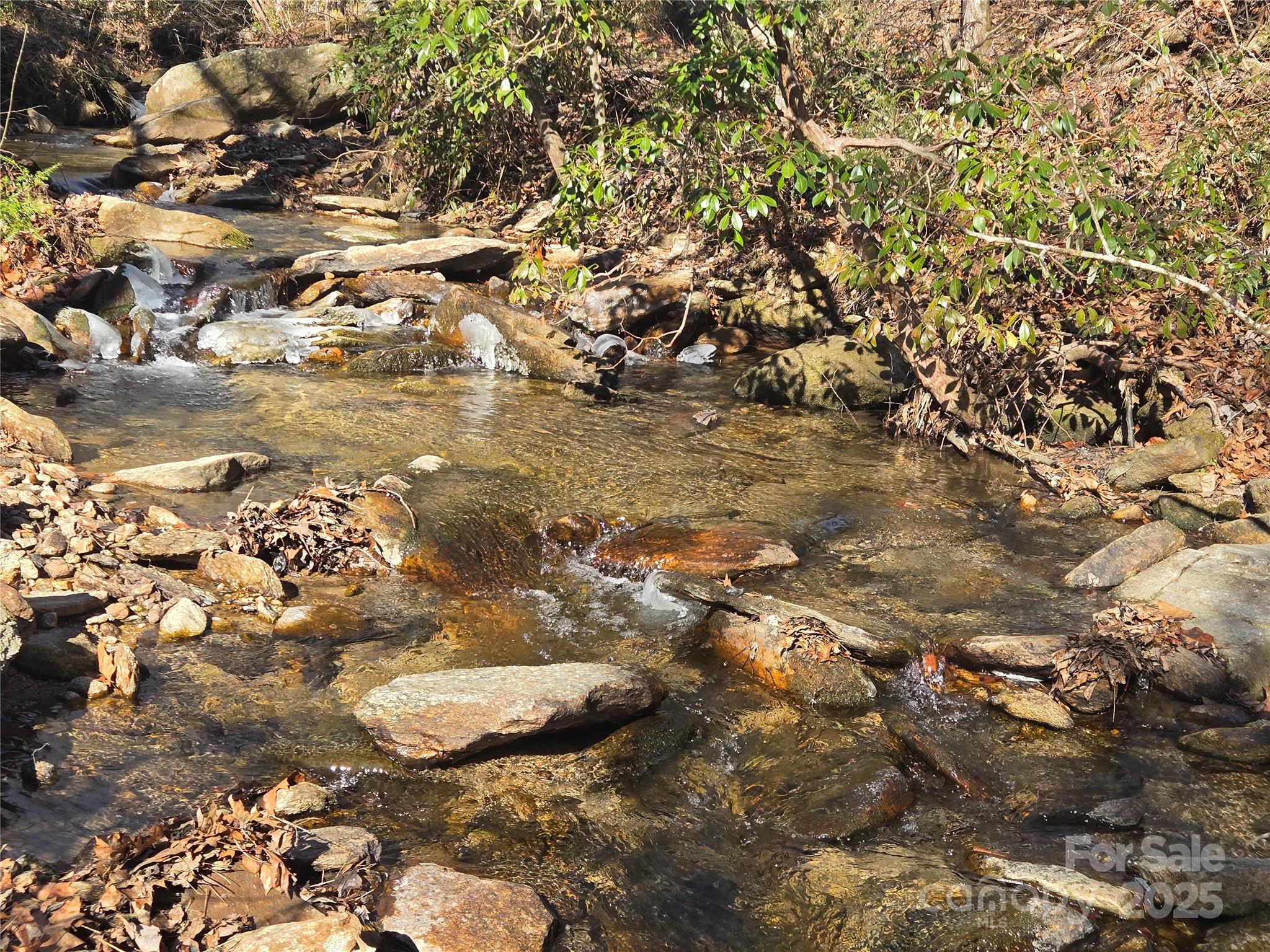 Lot 60 Chinquapin Road Property Photo 13