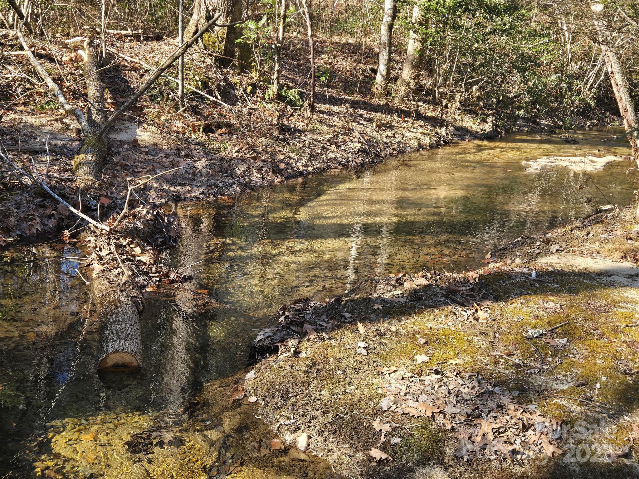 Lot 60 Chinquapin Road Property Photo 14