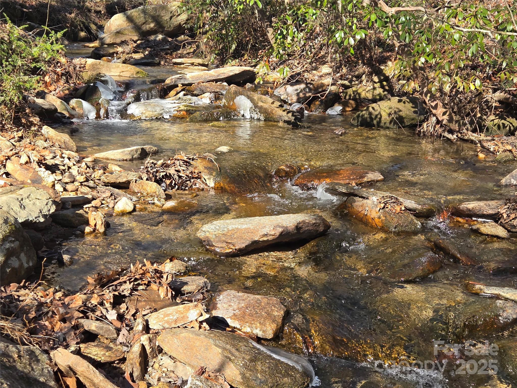 Lot 60 Chinquapin Road Property Photo 15