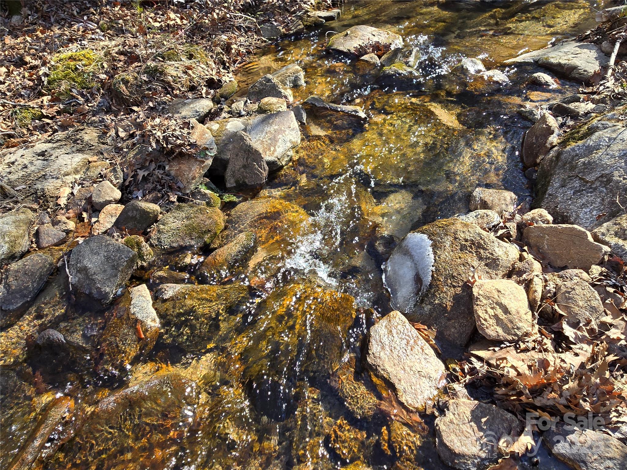 Lot 60 Chinquapin Road Property Photo 17