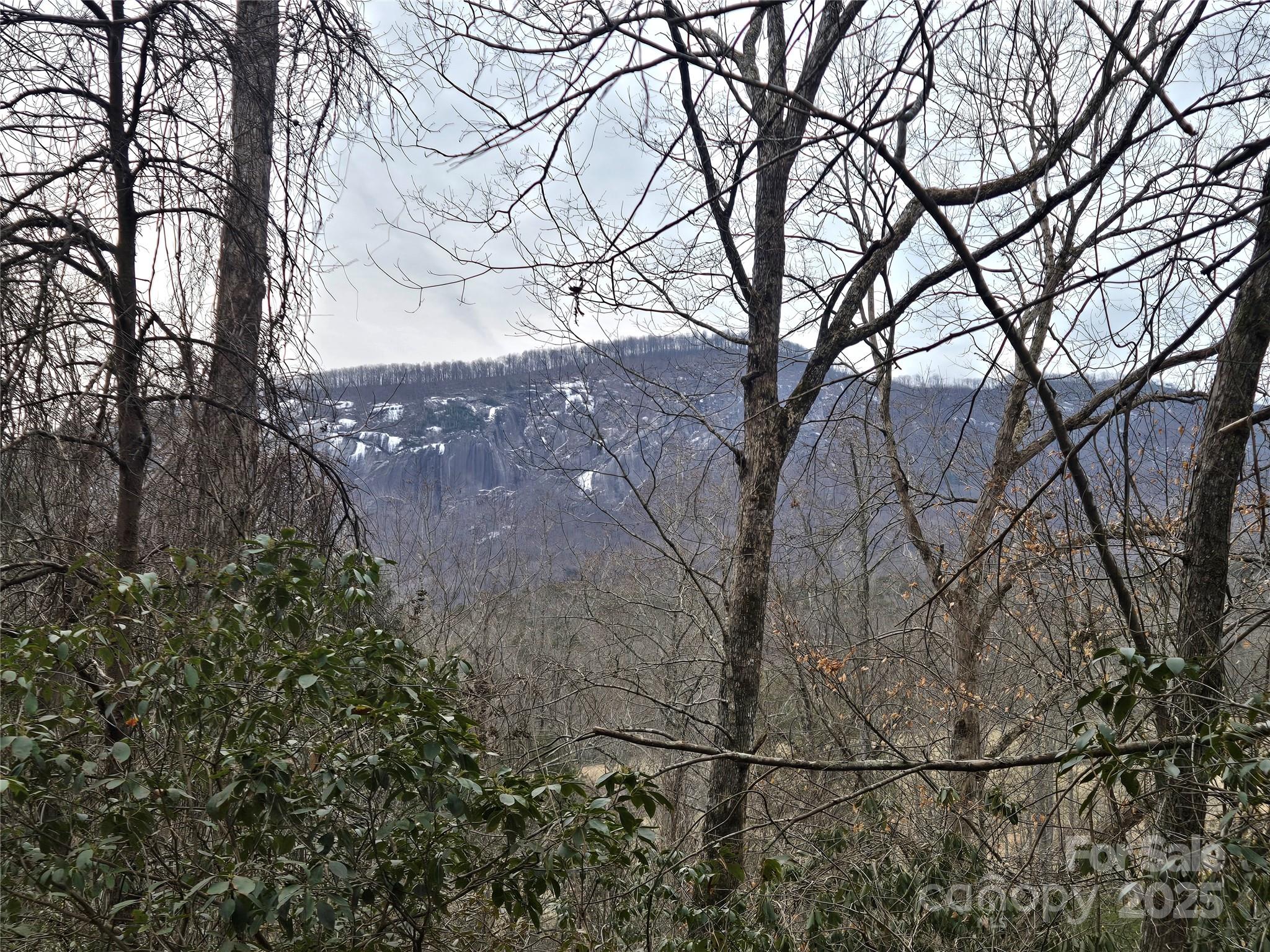 Lot 60 Chinquapin Road Property Photo 18