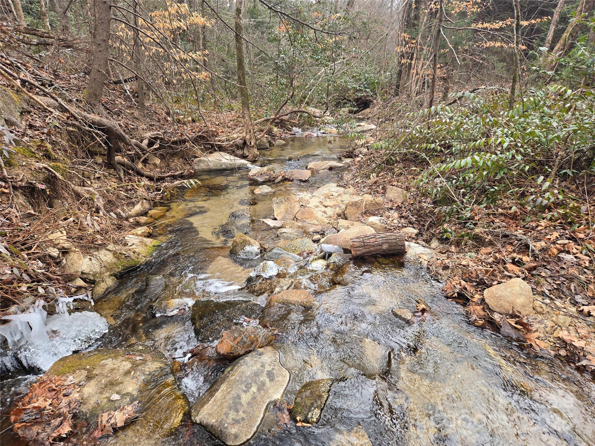 Lot 60 Chinquapin Road Property Photo 19