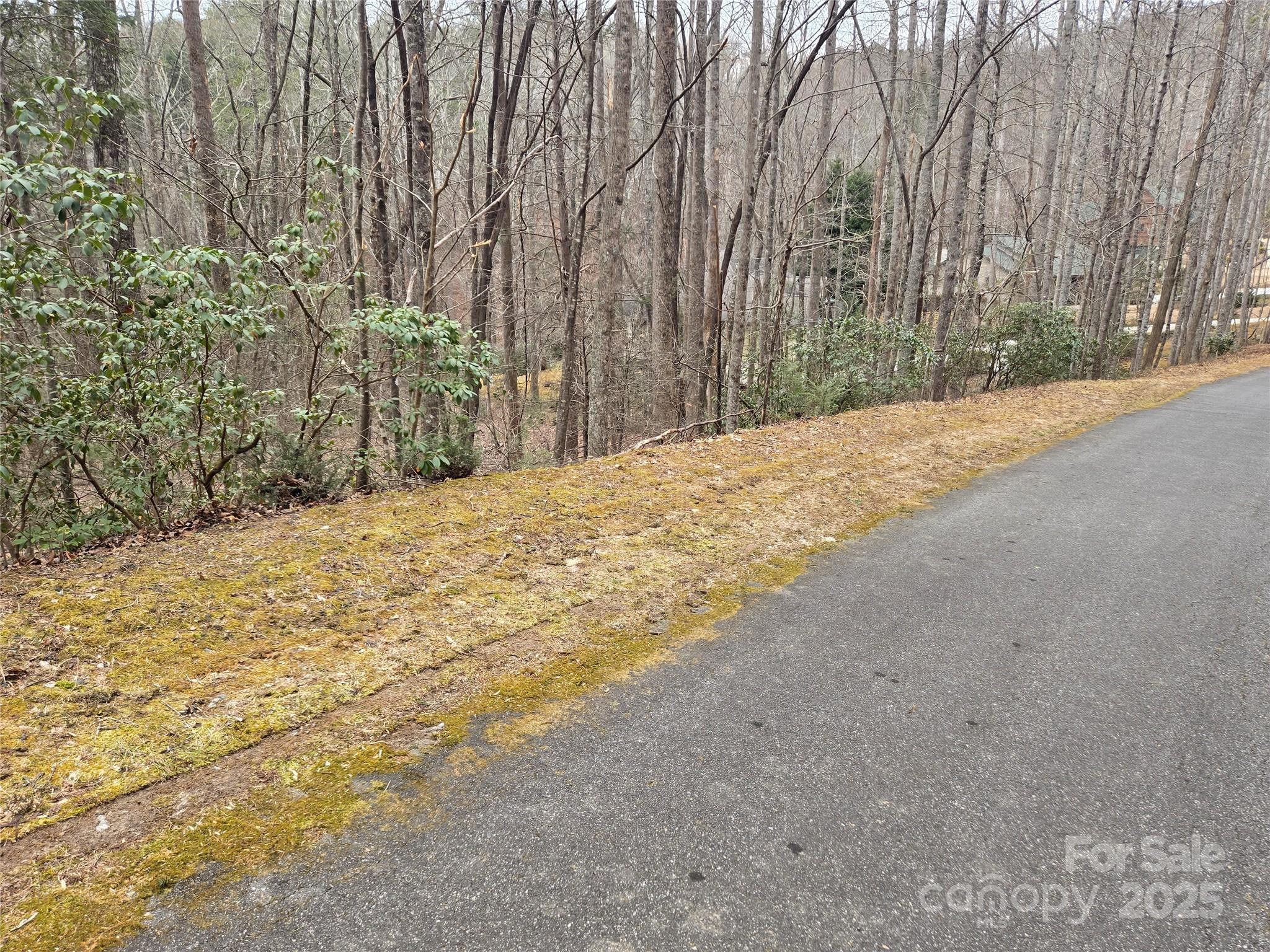 Lot 60 Chinquapin Road Property Photo 21
