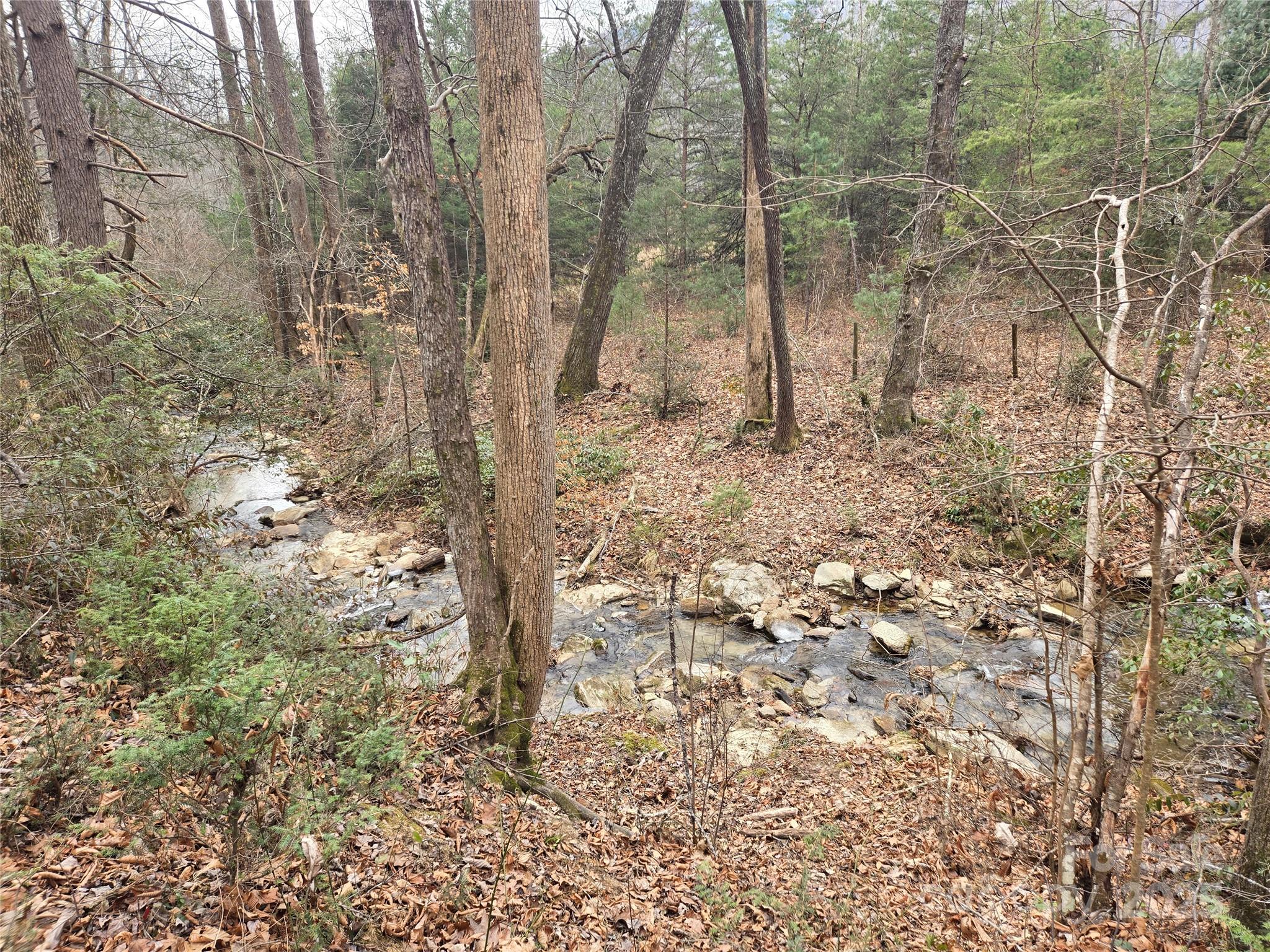 Lot 60 Chinquapin Road Property Photo 22