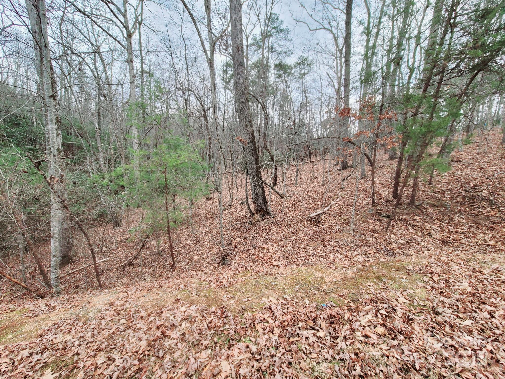 000 Birddog Boulevard 328 Property Photo 17