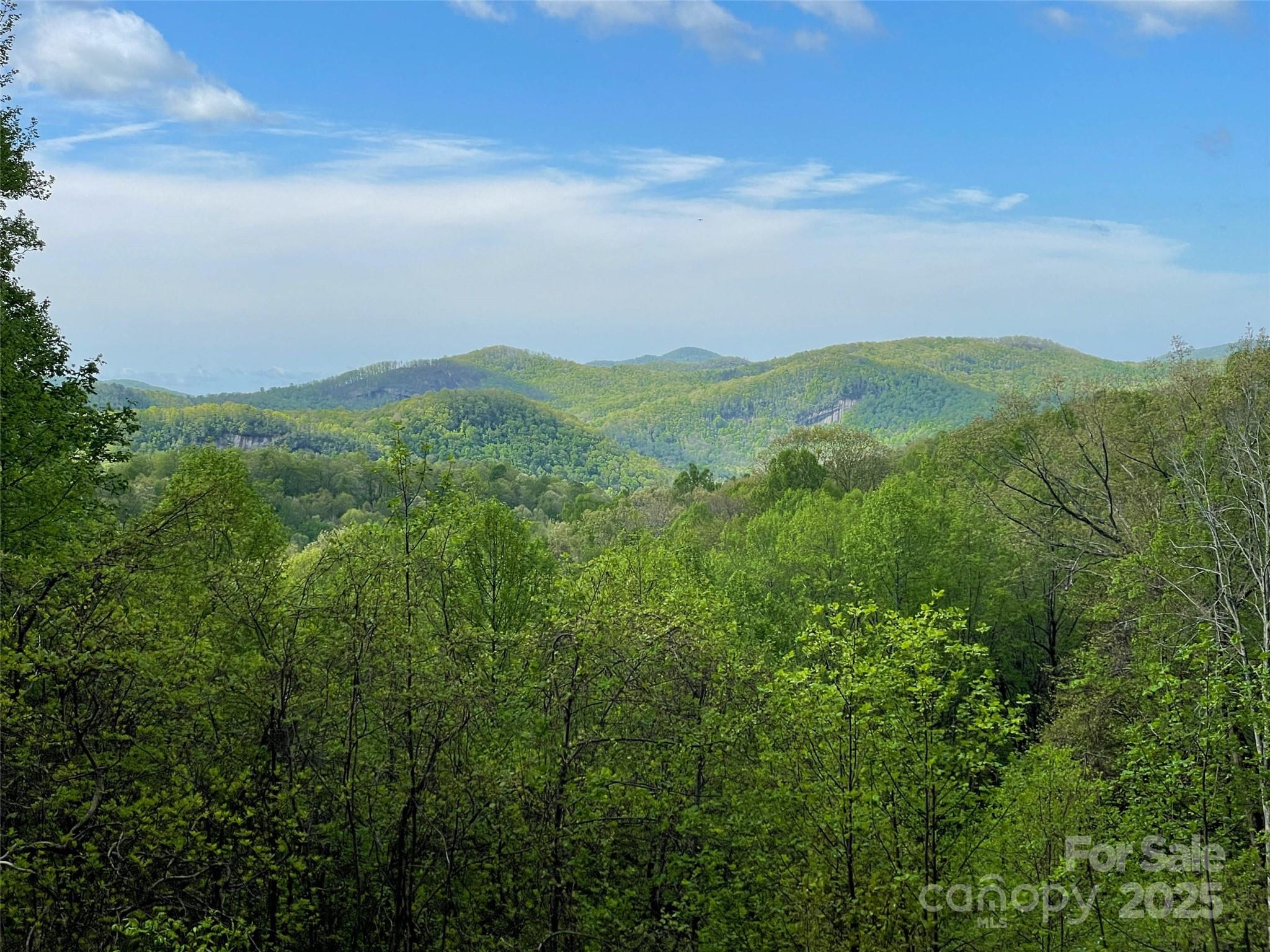 Off Pine Mountain Drive Property Photo 1