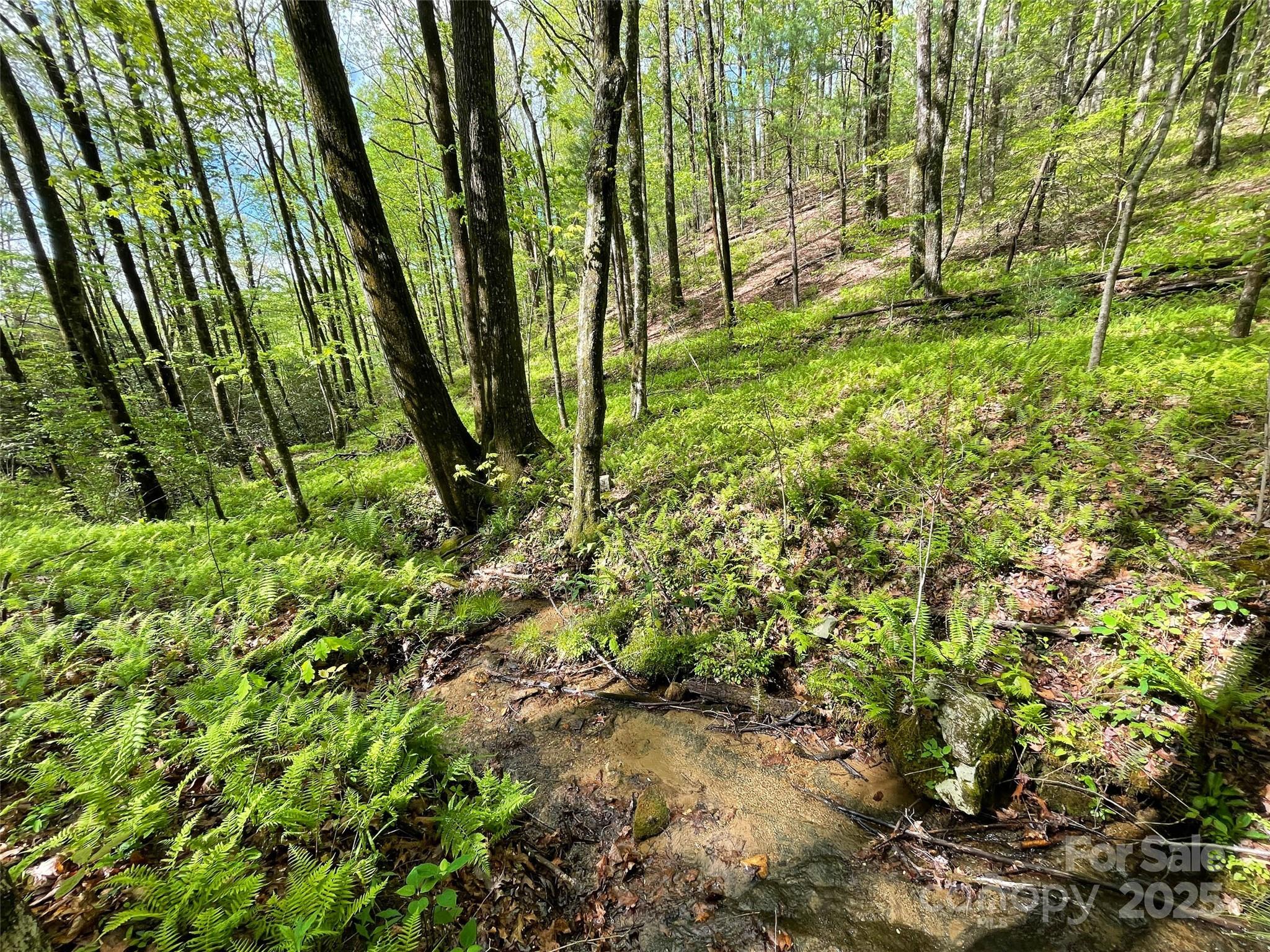 Off Pine Mountain Drive Property Photo 2