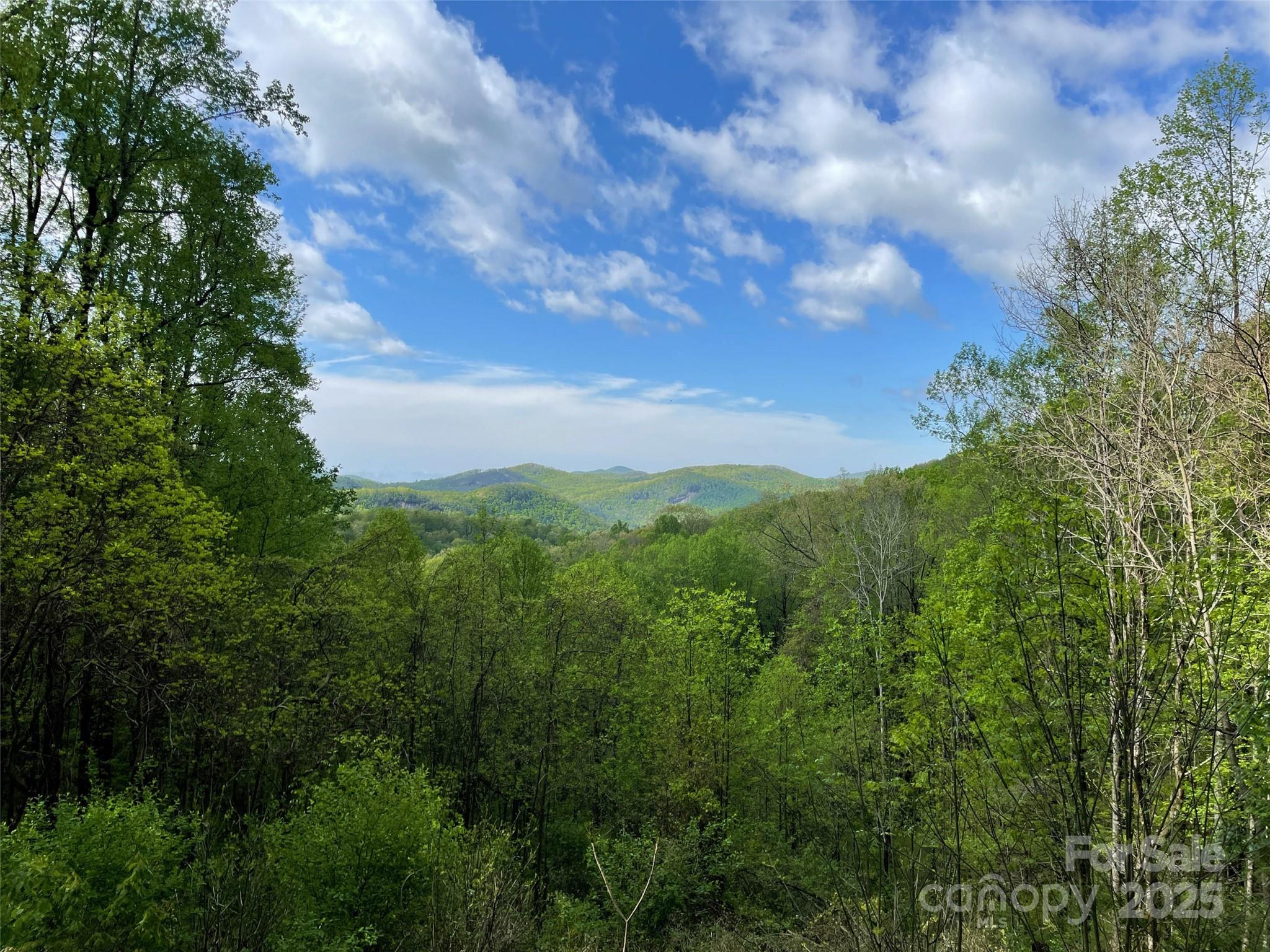 Off Pine Mountain Drive Property Photo 4