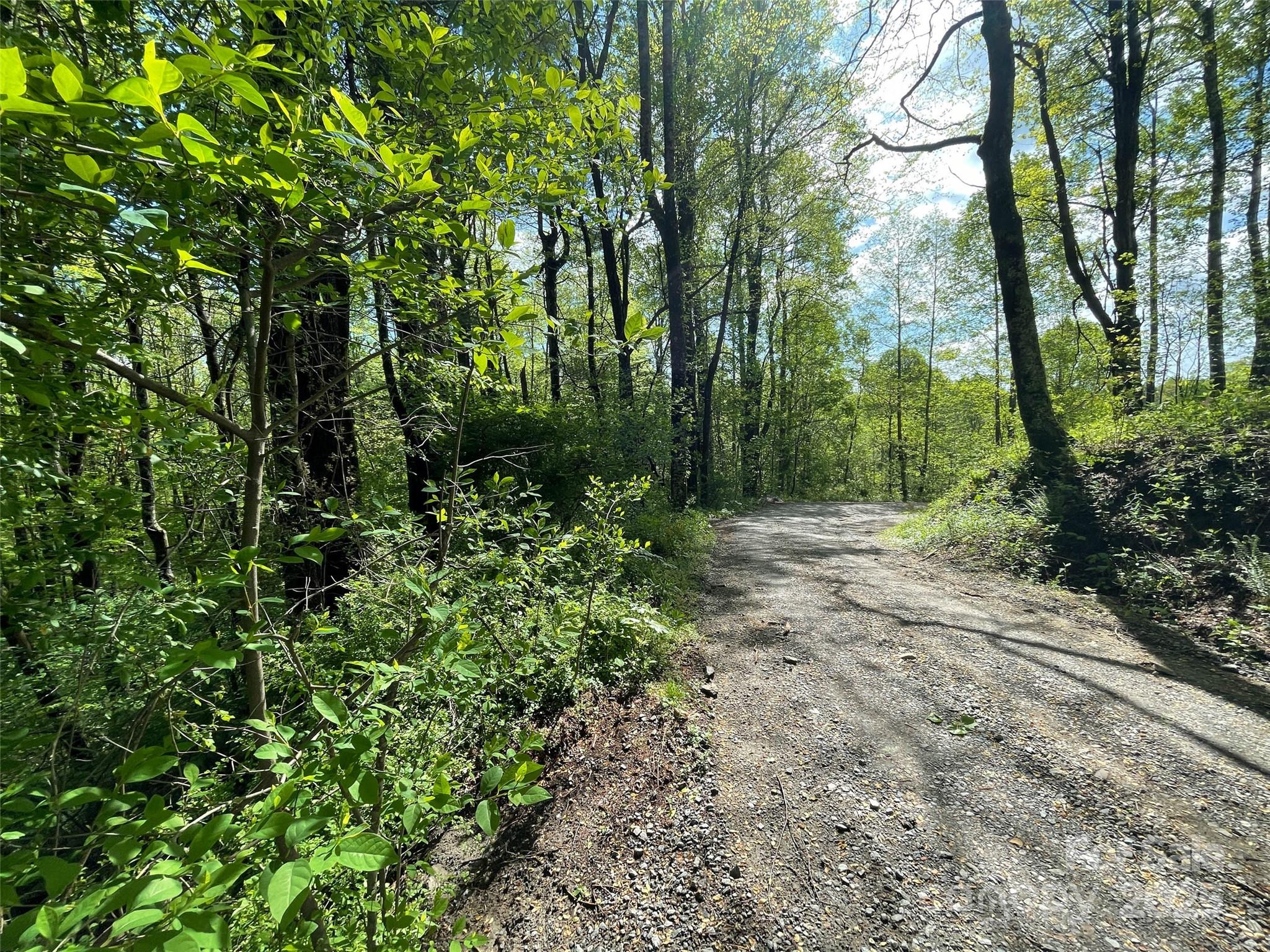 Off Pine Mountain Drive Property Photo 5