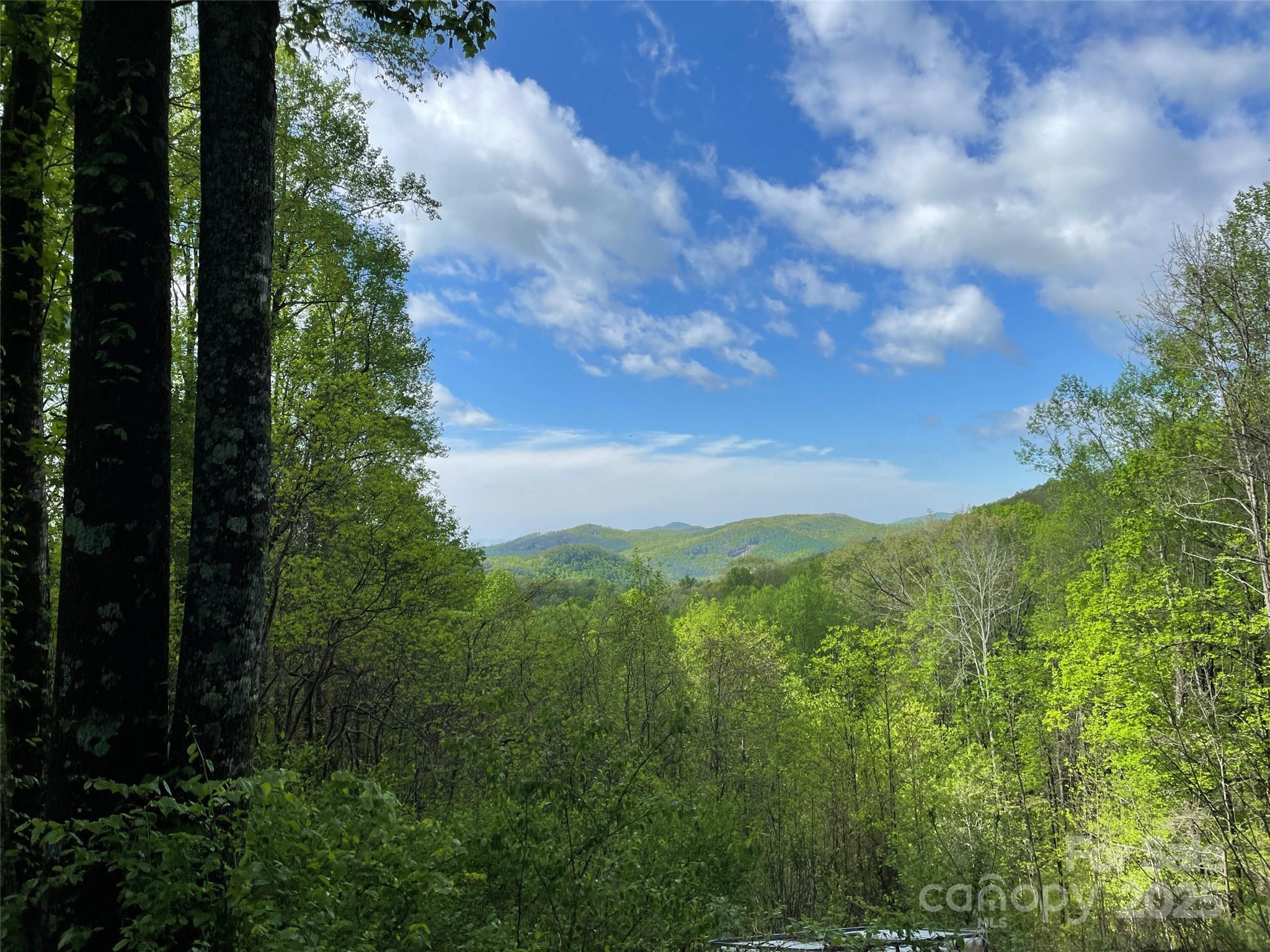 Off Pine Mountain Drive Property Photo 6
