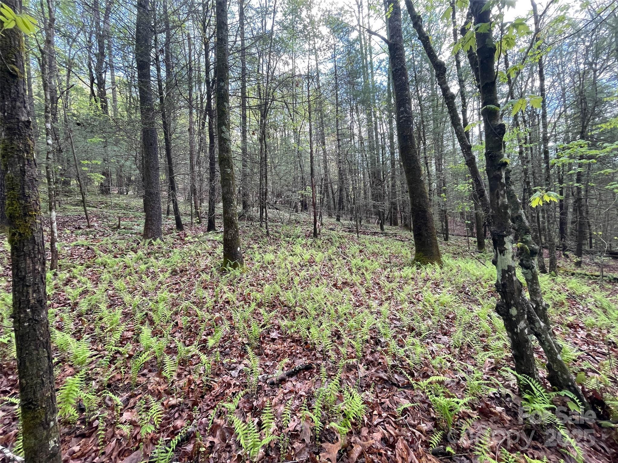 Off Pine Mountain Drive Property Photo 7