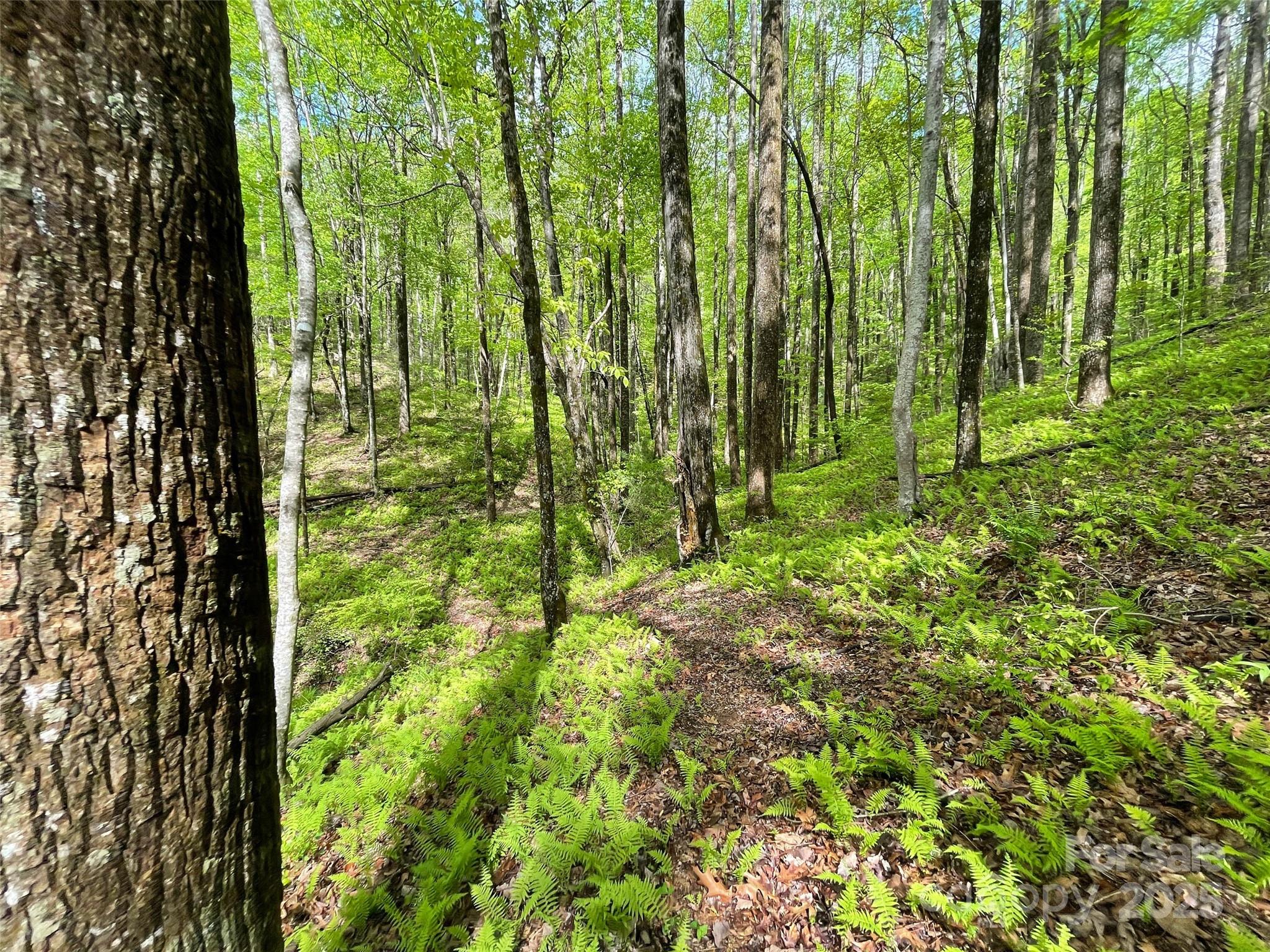 Off Pine Mountain Drive Property Photo 8