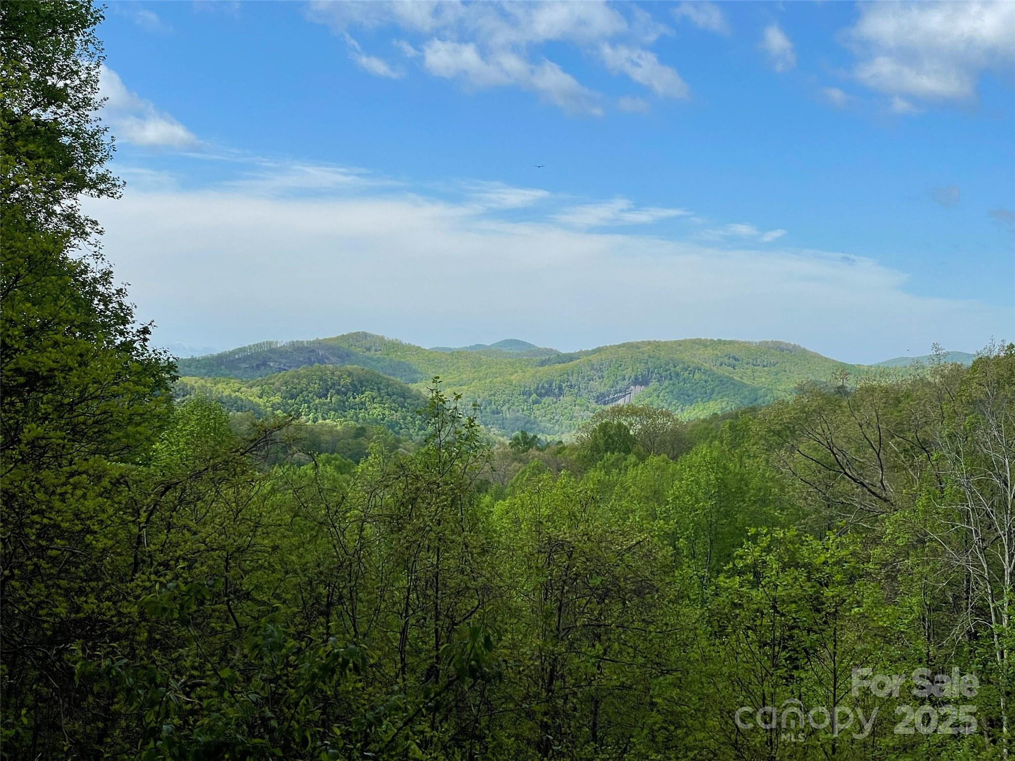 Off Pine Mountain Drive Property Photo 9