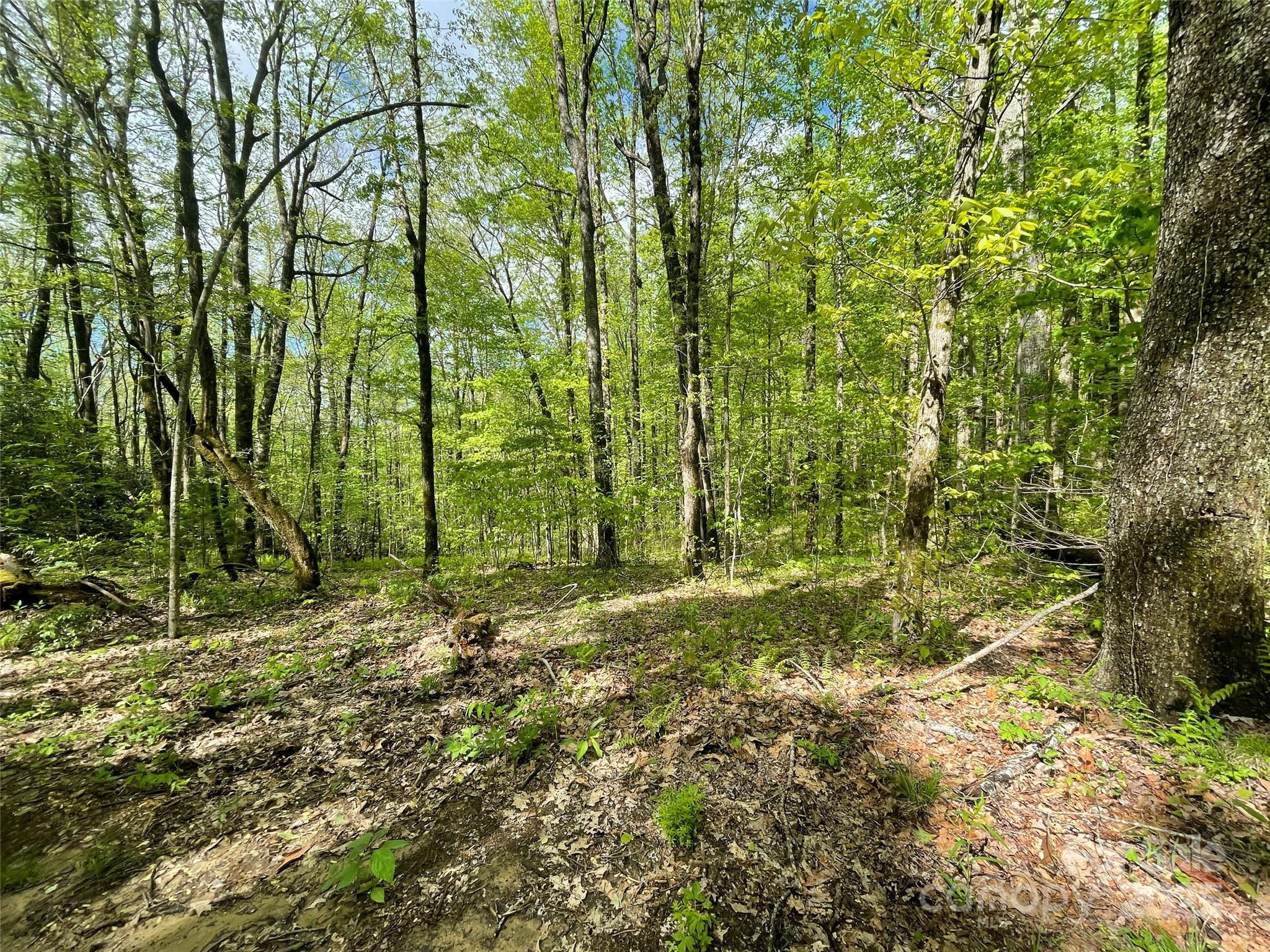 Off Pine Mountain Drive Property Photo 10