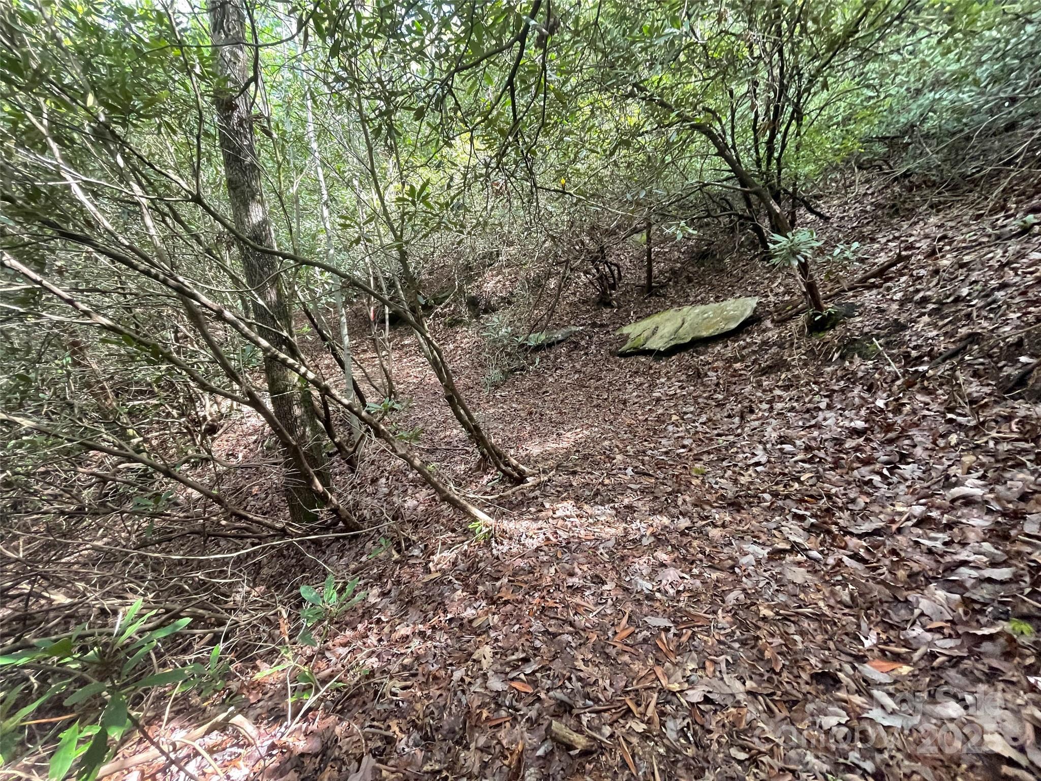 Off Pine Mountain Drive Property Photo 11