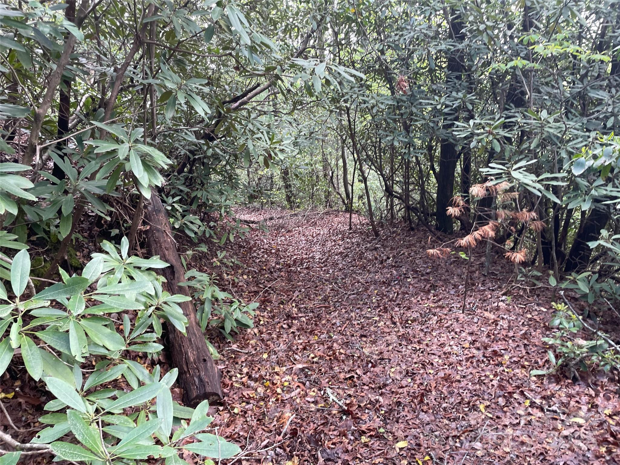 Off Pine Mountain Drive Property Photo 12
