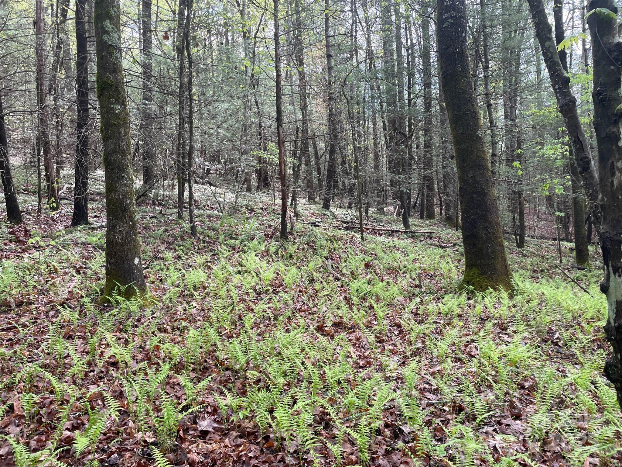 Off Pine Mountain Drive Property Photo 13