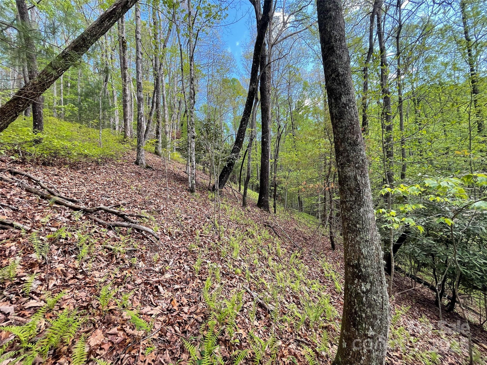 Off Pine Mountain Drive Property Photo 14