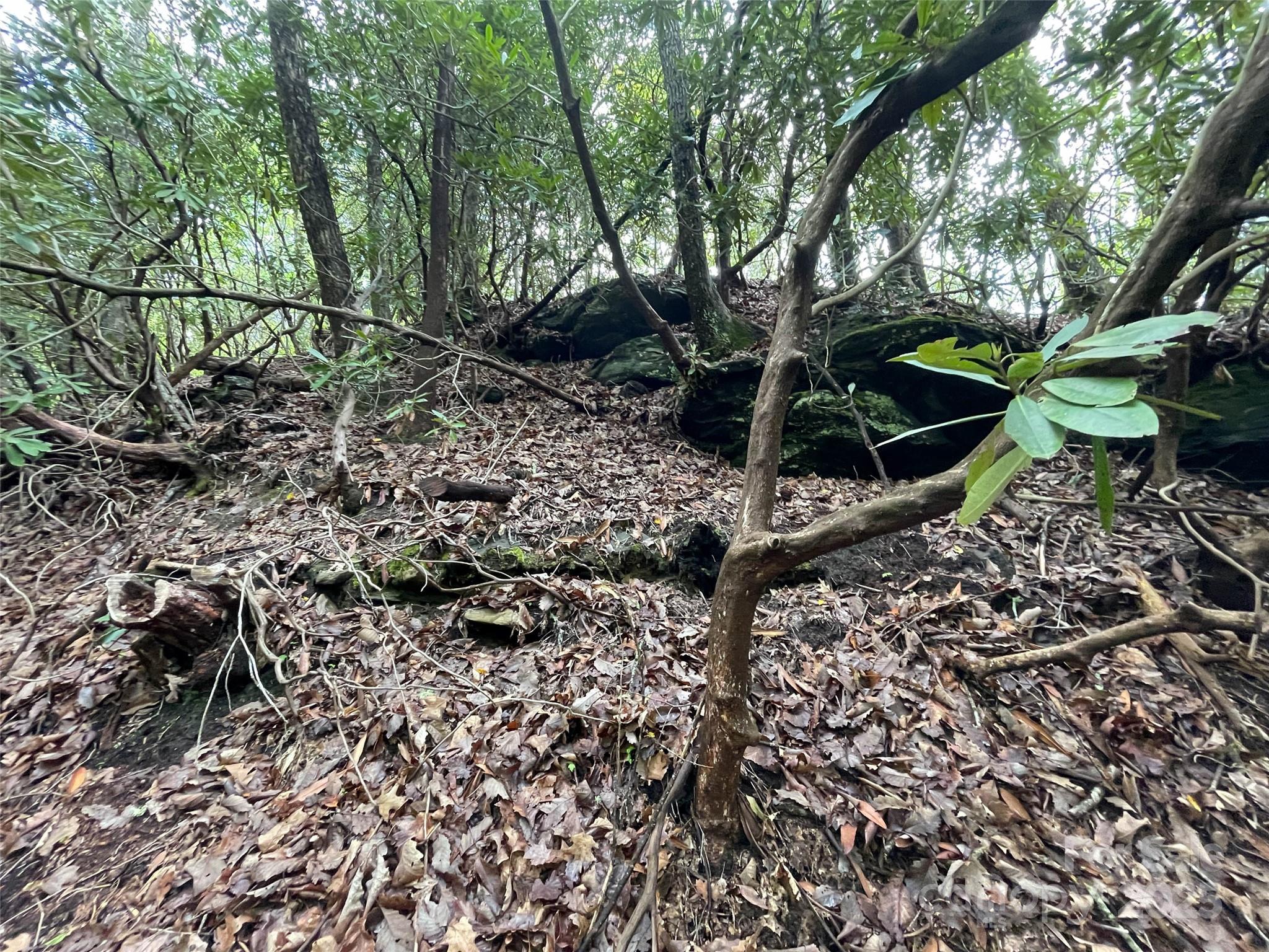 Off Pine Mountain Drive Property Photo 15