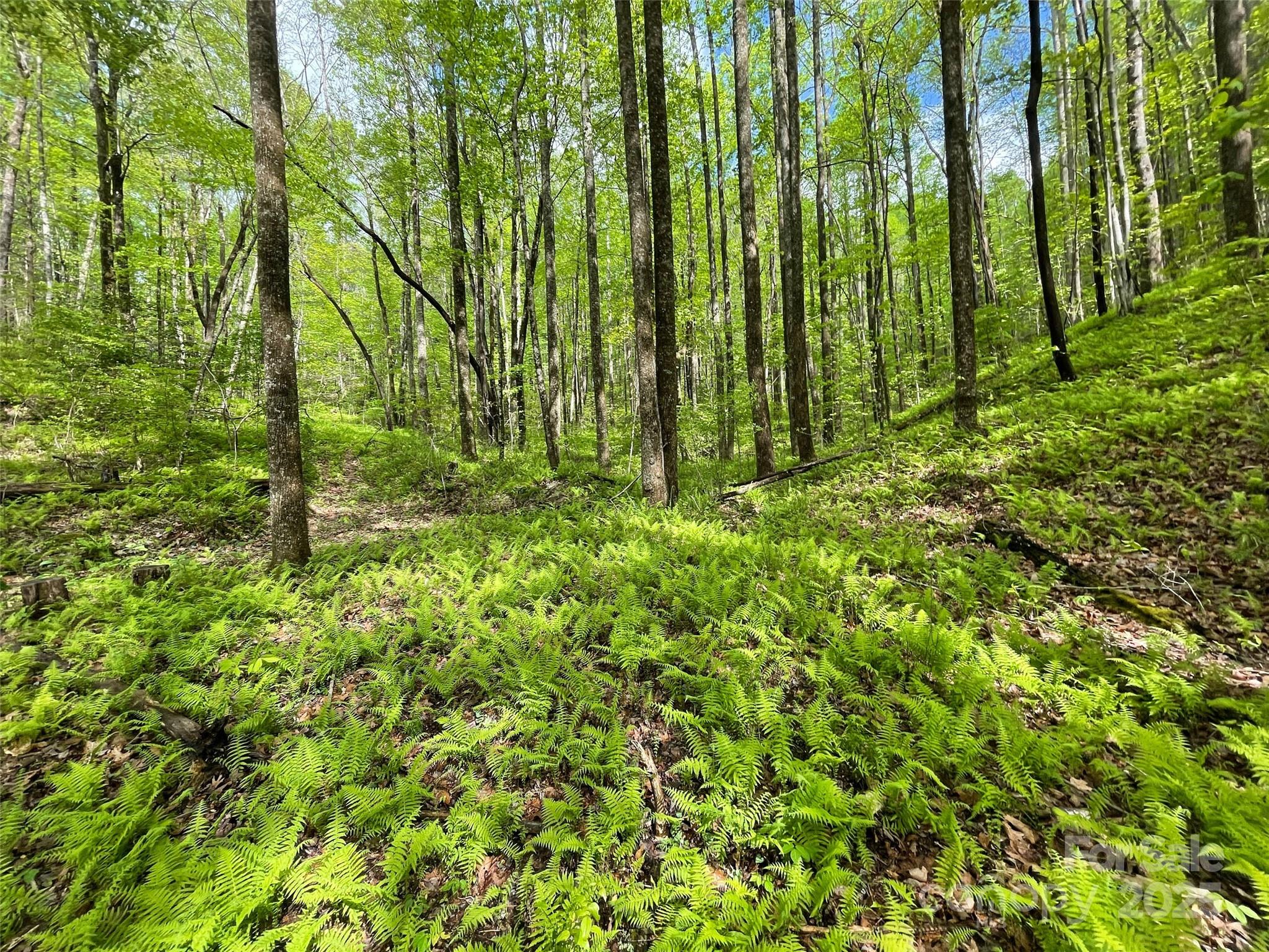 Off Pine Mountain Drive Property Photo 17
