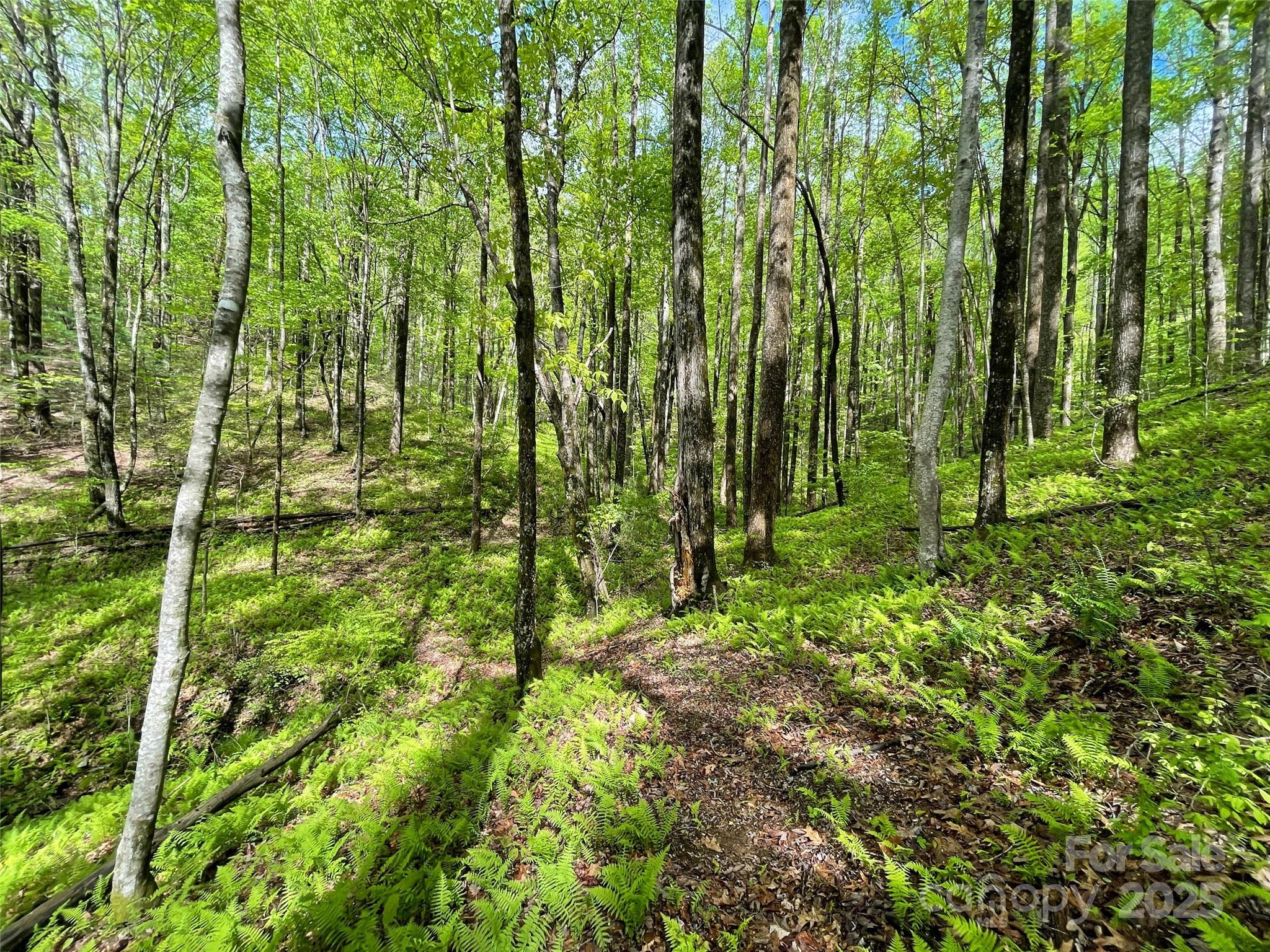 Off Pine Mountain Drive Property Photo 19