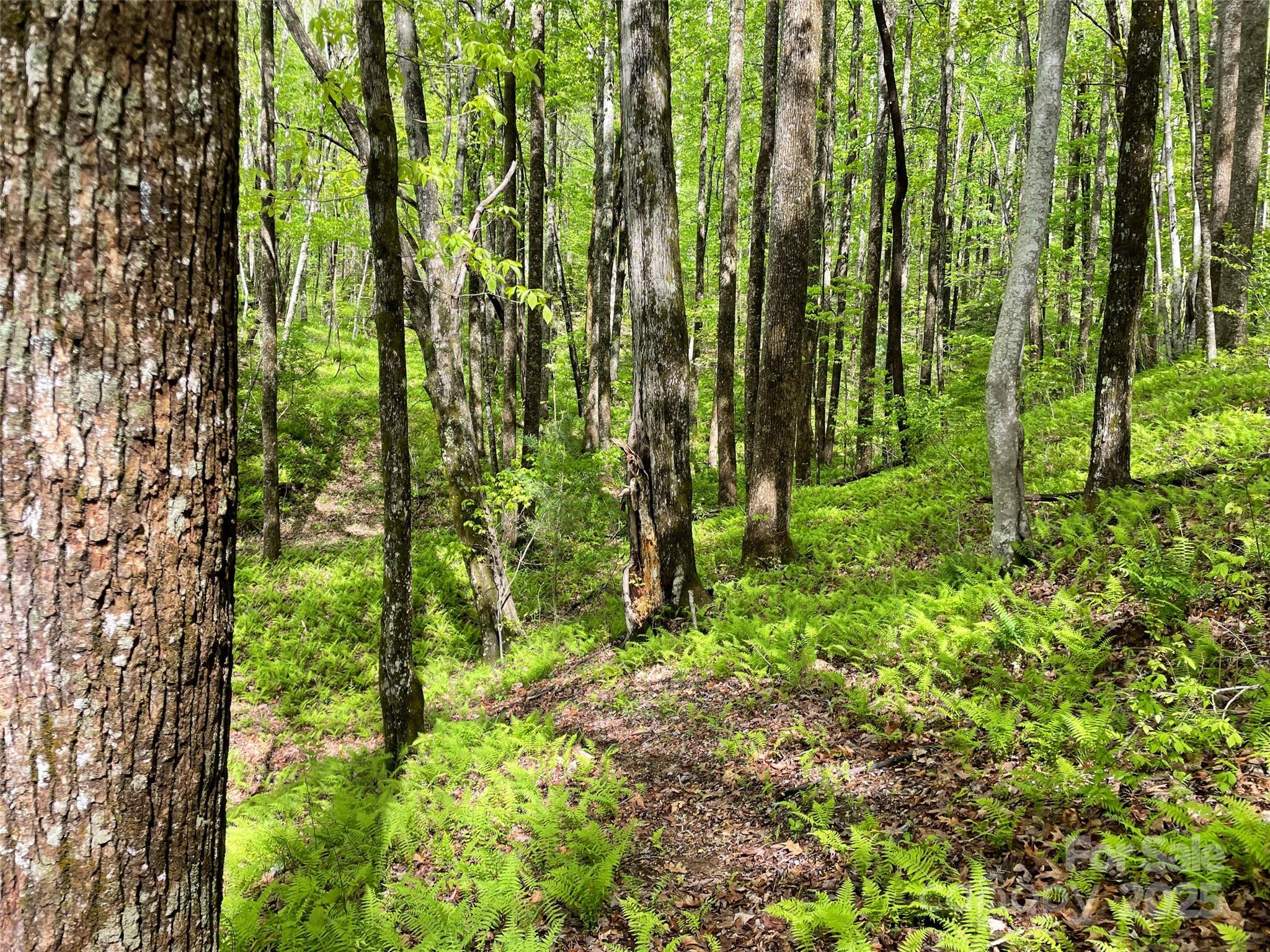 Off Pine Mountain Drive Property Photo 20
