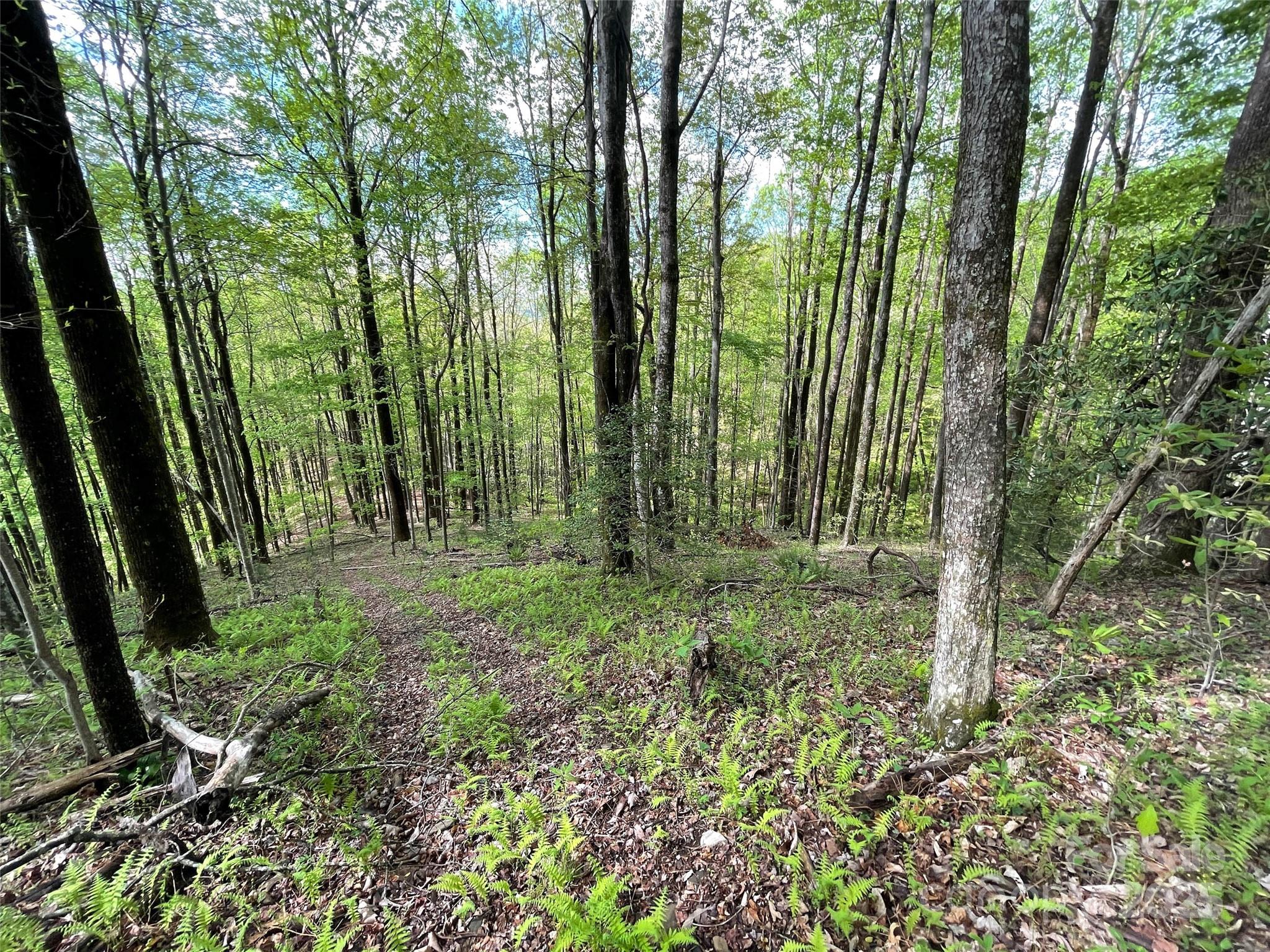 Off Pine Mountain Drive Property Photo 21