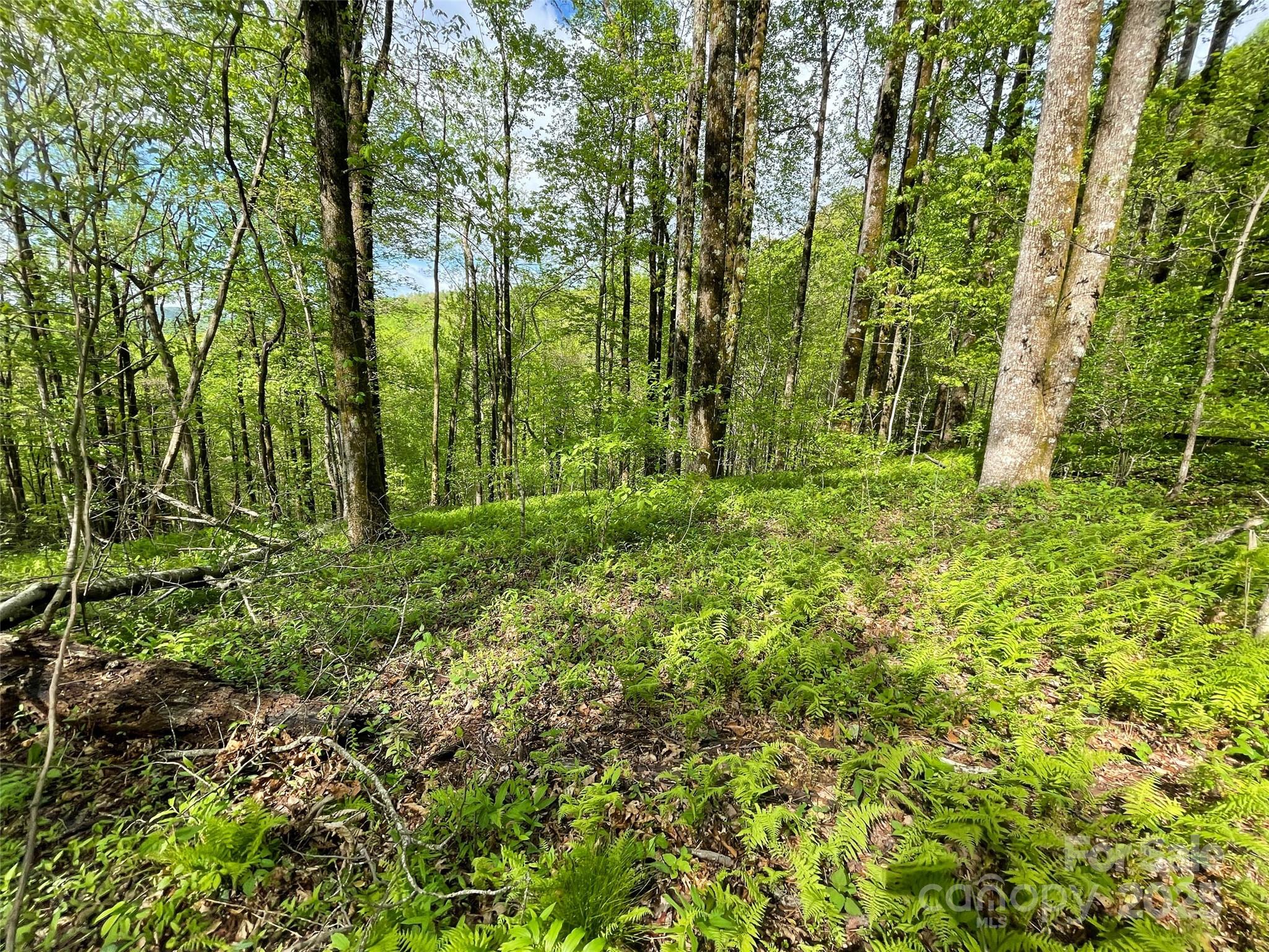 Off Pine Mountain Drive Property Photo 24