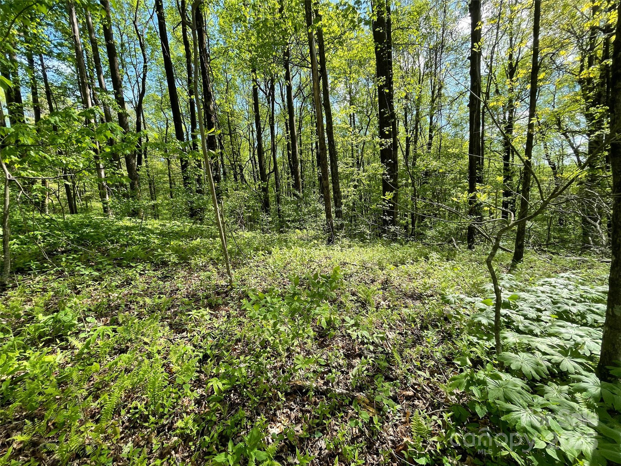Off Pine Mountain Drive Property Photo 25