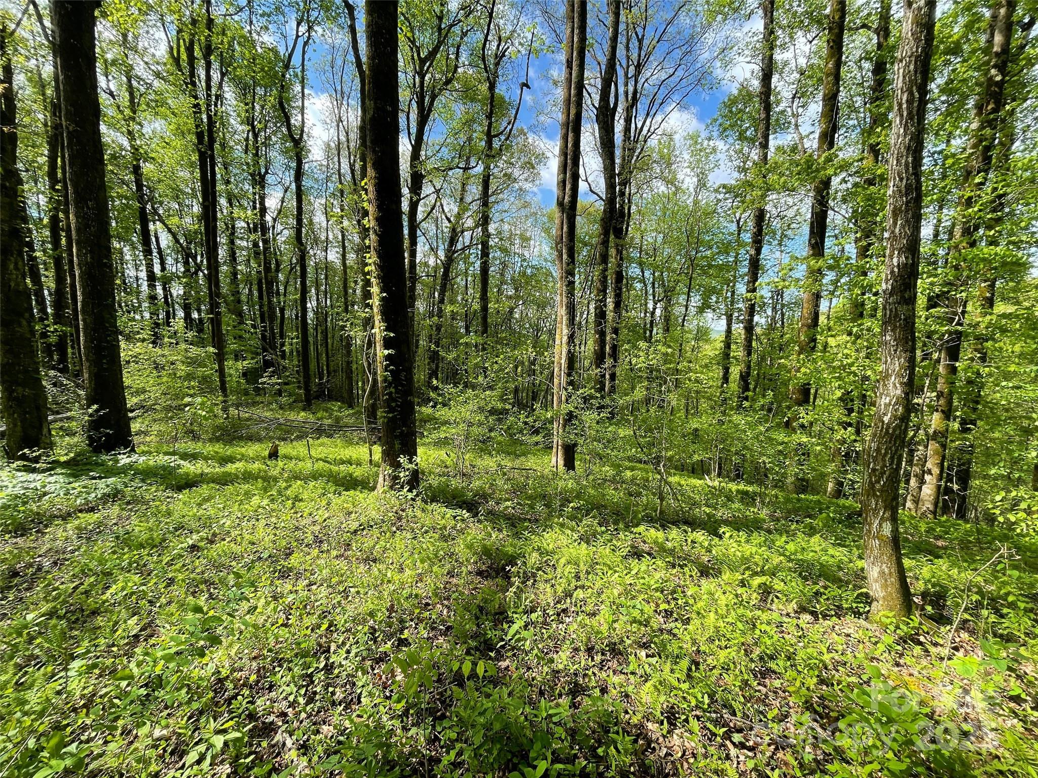 Off Pine Mountain Drive Property Photo 26