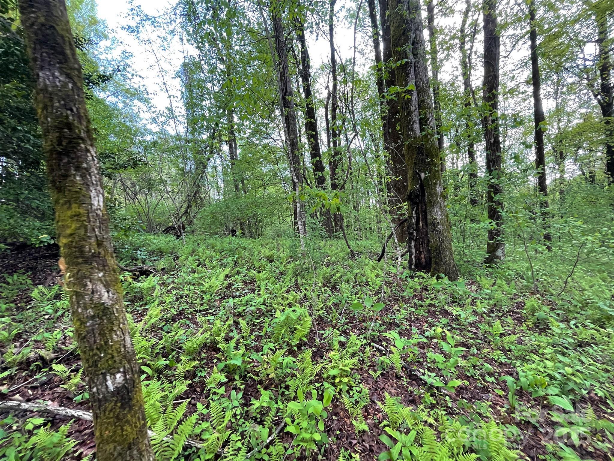 Off Pine Mountain Drive Property Photo 27