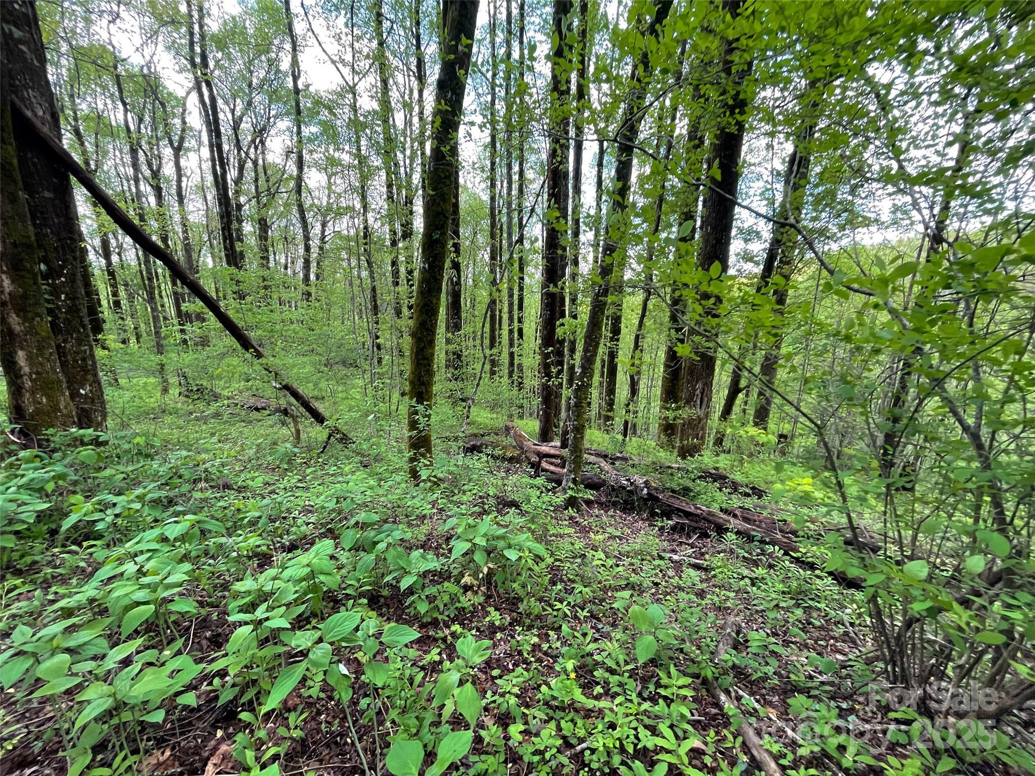 Off Pine Mountain Drive Property Photo 28